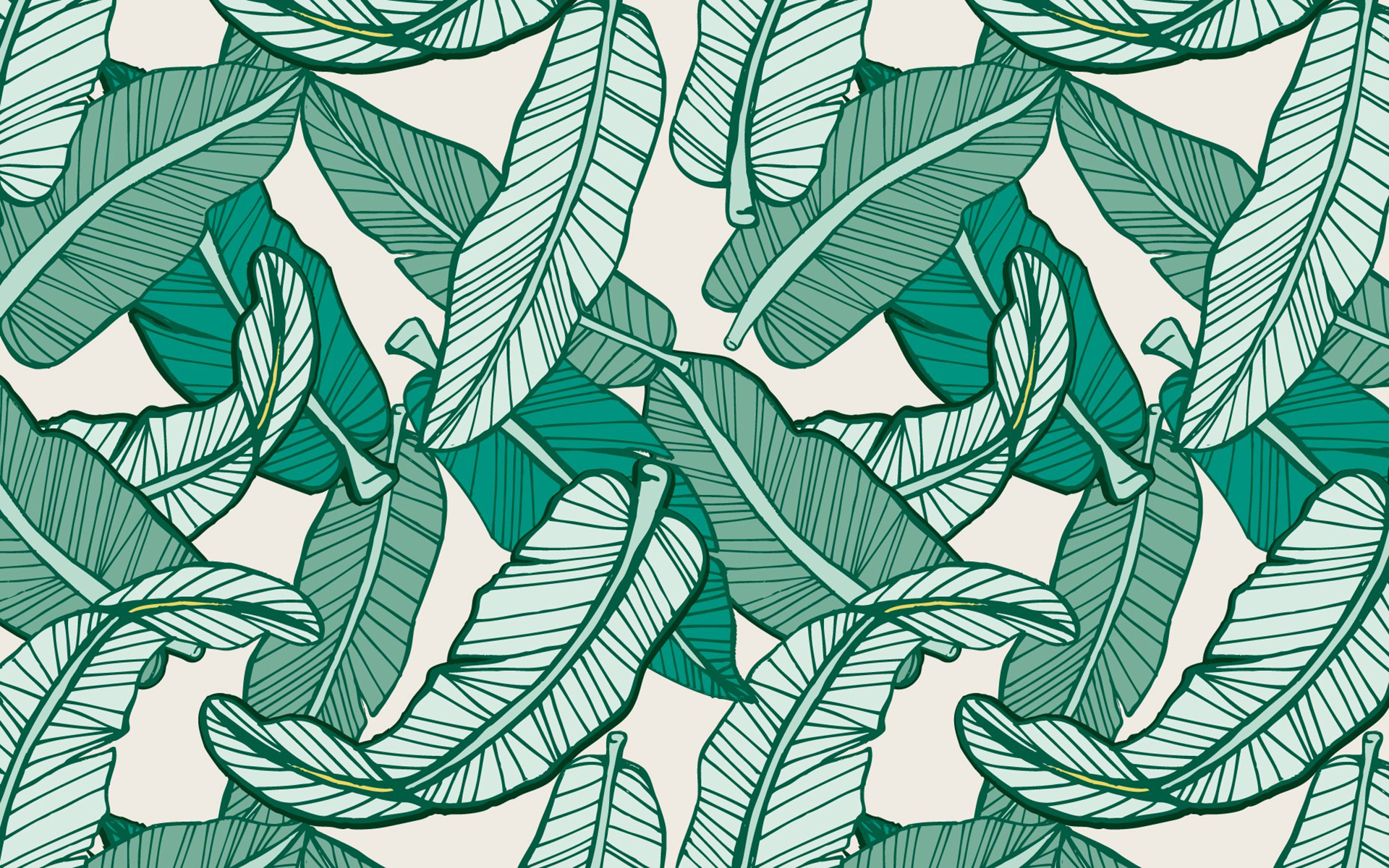 Banana Leaf Desktop Background HD Wallpaper