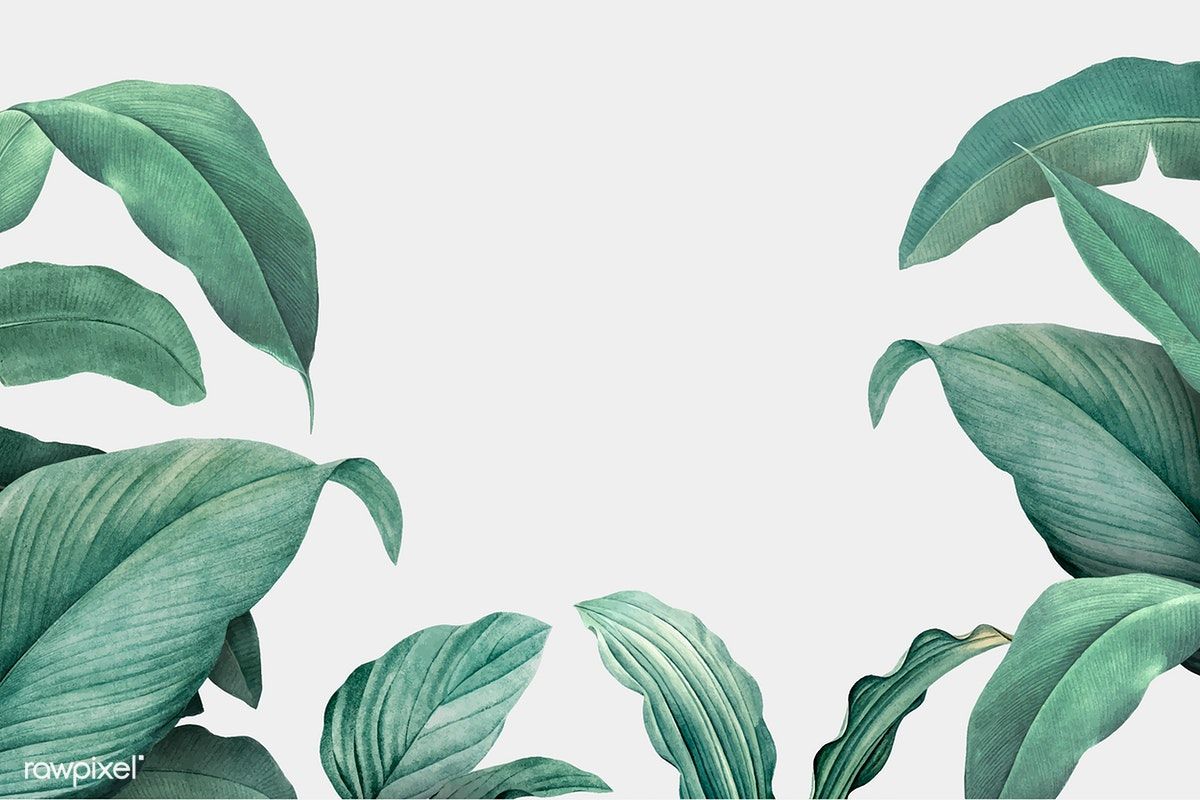 Aesthetic Tropical Leaves Desktop Wallpaper