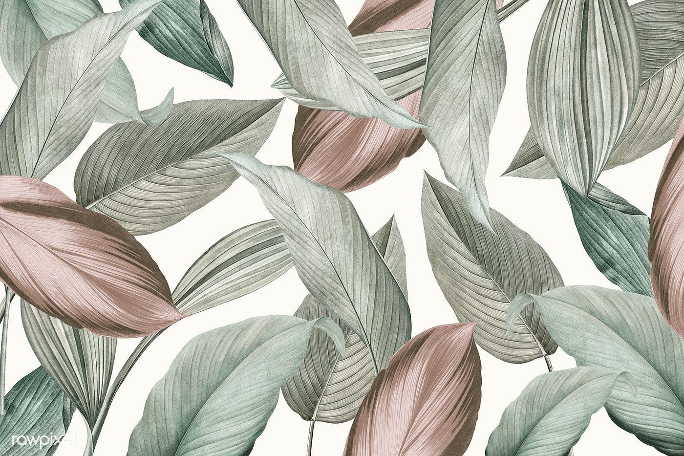 Download premium illustration of Green tropical leaves patterned. Computer wallpaper desktop wallpaper, Cute desktop wallpaper, Leaf wallpaper