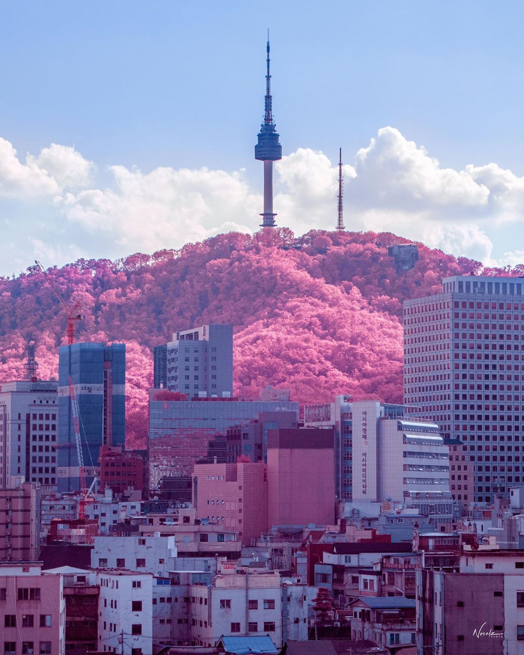 Likes, 44 Comments / Cyberpunk / Anime on Instagram: “Namsan tower, Seoul, Korea. C. Fotografi kota, Fotografi minimalis, Foto wisata