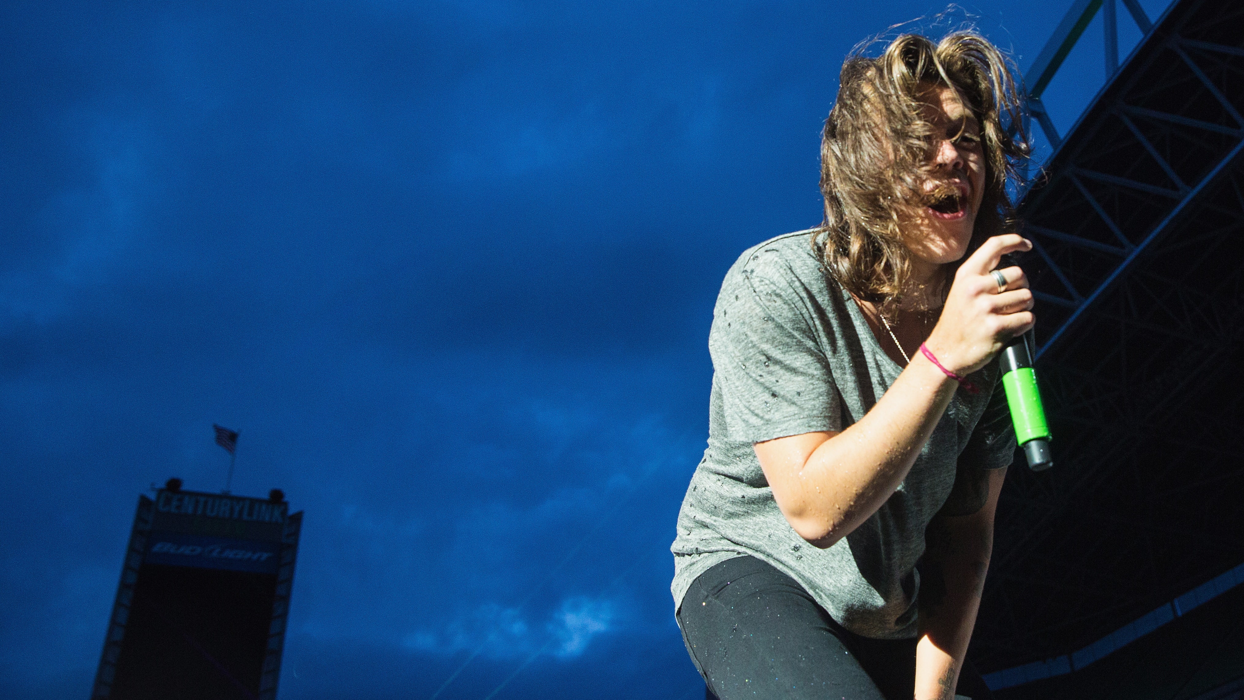 Harry Styles' Long Hair Could Use a Change