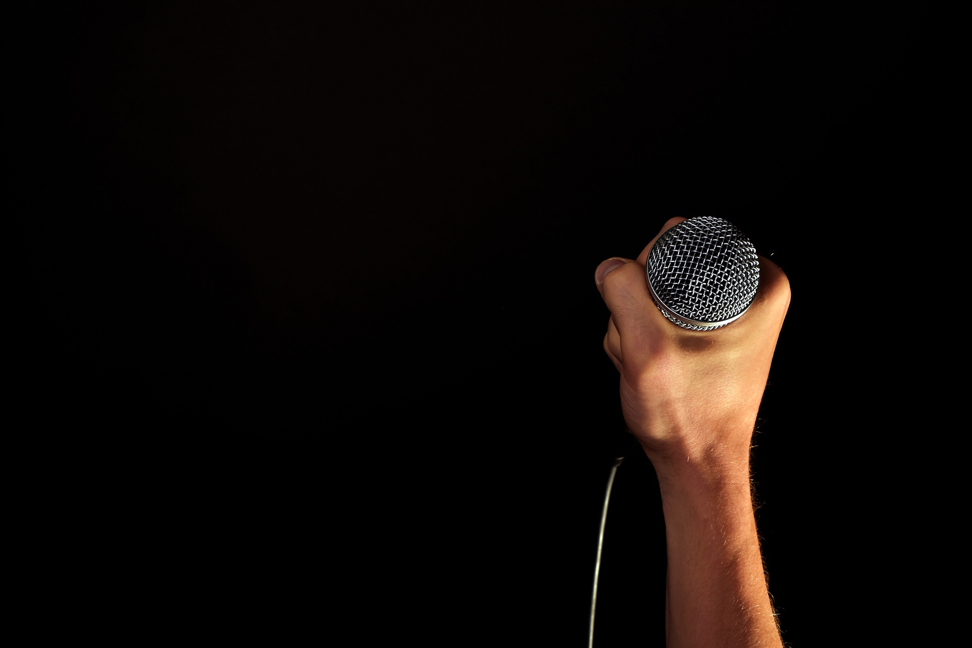 Person Holding Microphone · Free