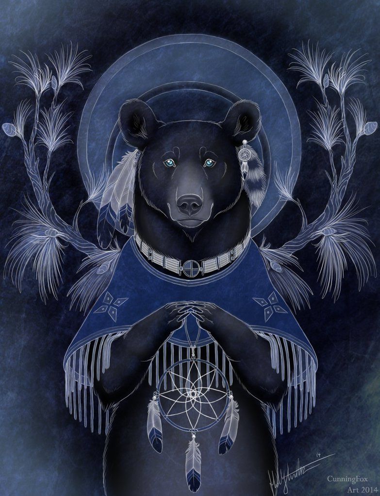 Cool Native American Bear Wallpaper Free Cool Native American Bear Background