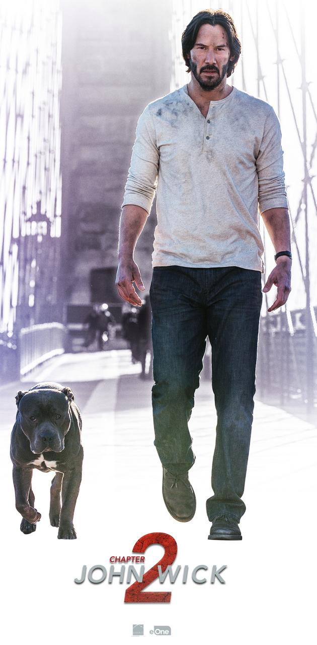 John Wick Dog Wallpaper By Z Studios 2