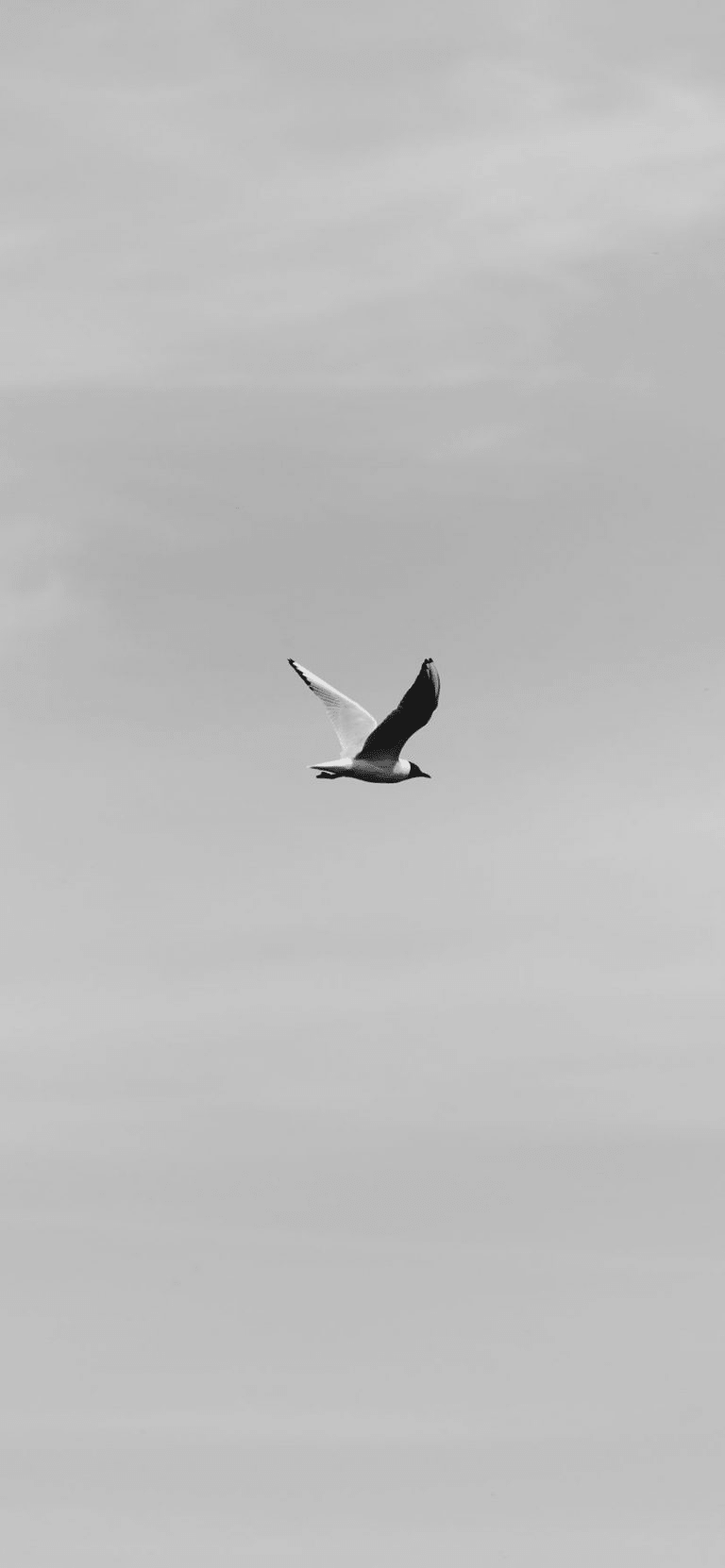 Calming iPhone Wallpaper To Relax Your Mind