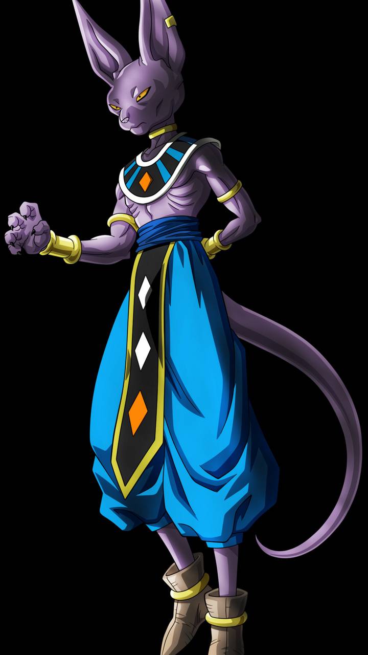 Lord Beerus Wallpapers Data.