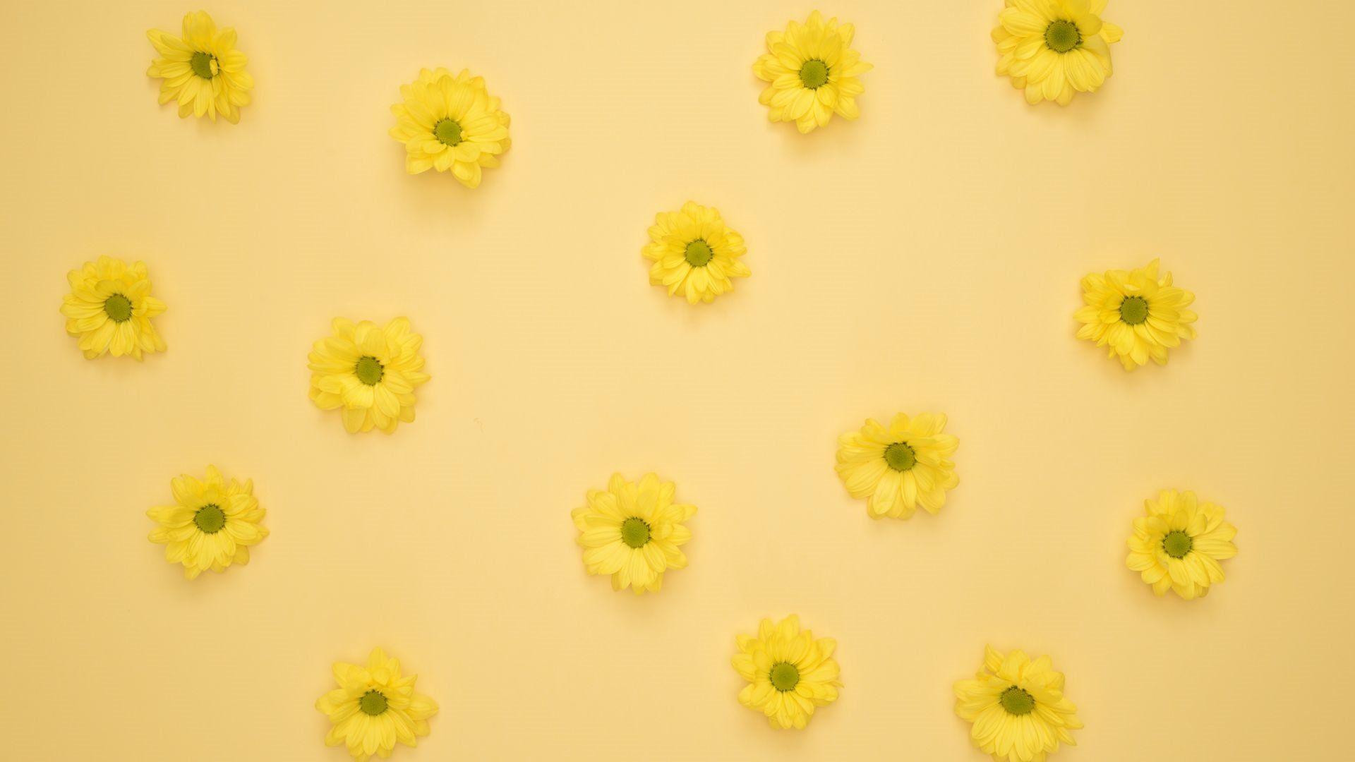 Yellow Aesthetic Wallpaper