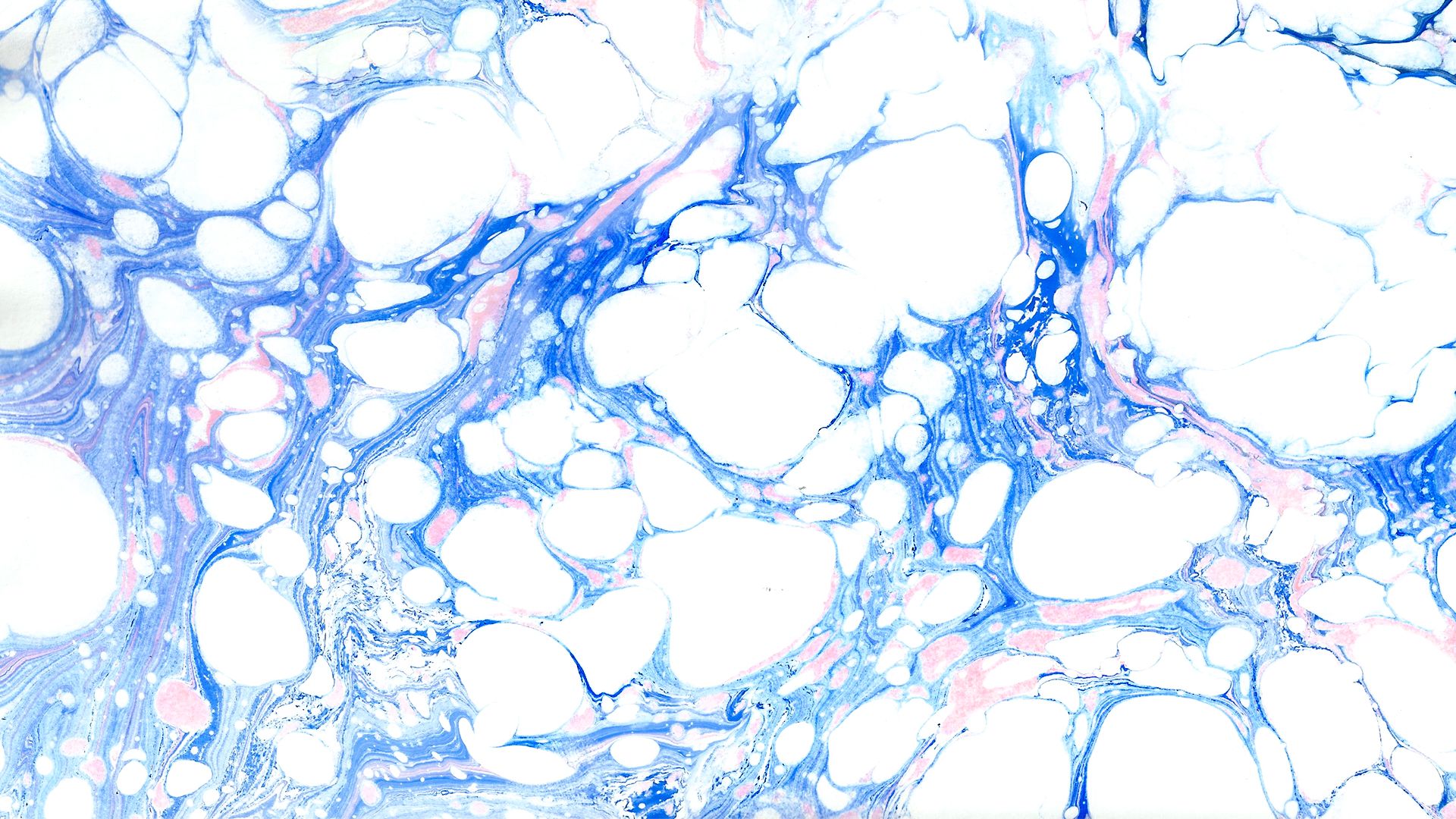 Blue Marble Wallpaper Tumblr