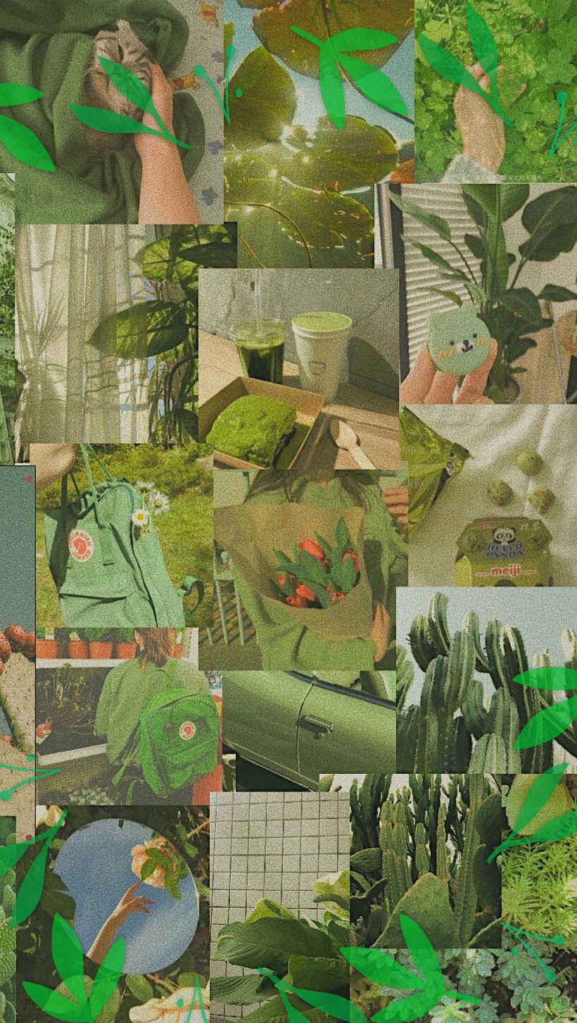 Green aesthetic wallpaper. Green nature wallpaper, Green aesthetic, Background phone wallpaper