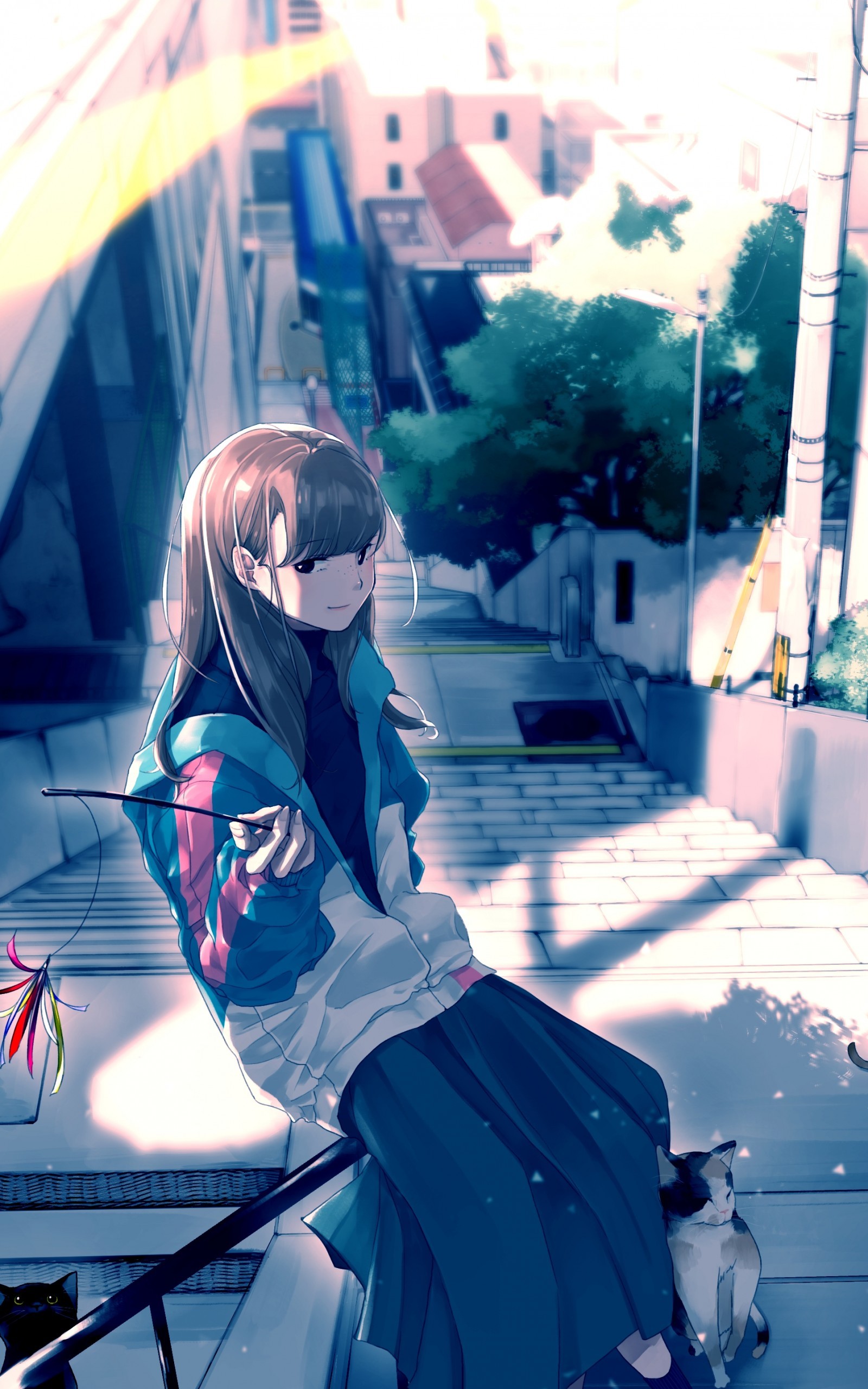 Download 1600x2560 Anime Girl, Jacket, Cats, Stairs, Daylight Wallpaper for Google Nexus 10