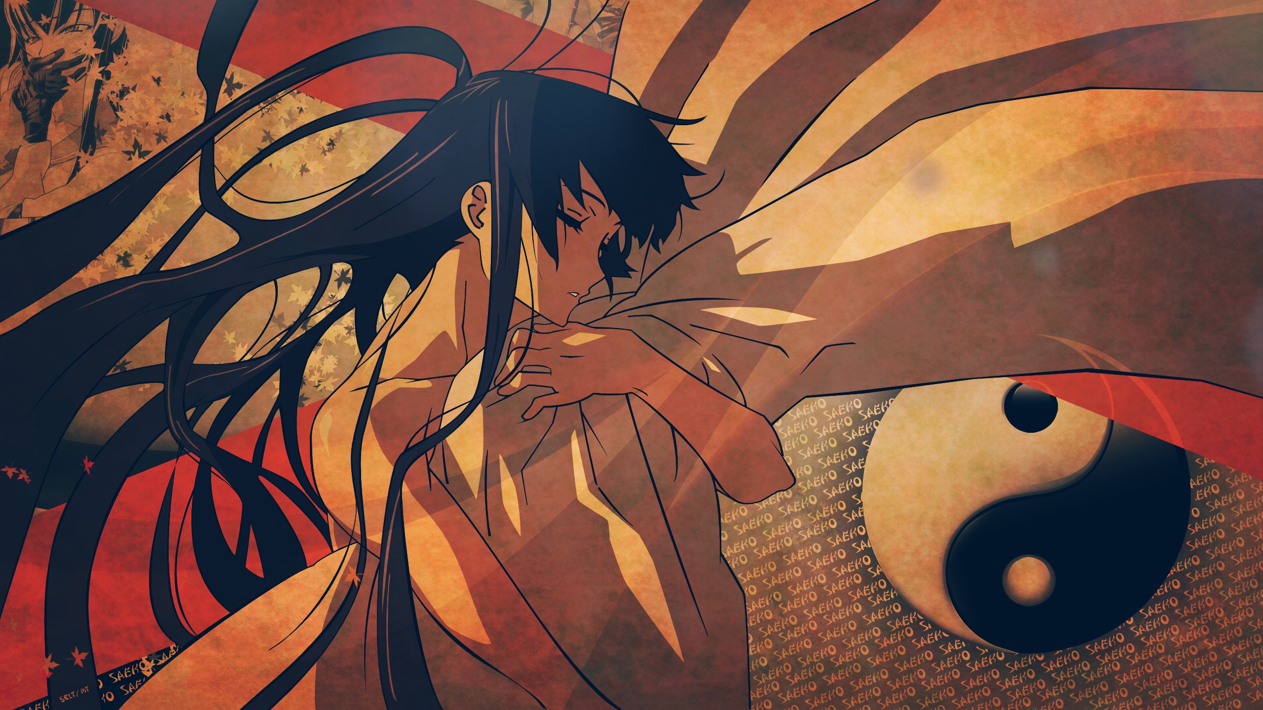 #Busujima Saeko, #Yin and Yang, #anime, #Highschool of the Dead, wallpaper. Mocah HD Wallpaper