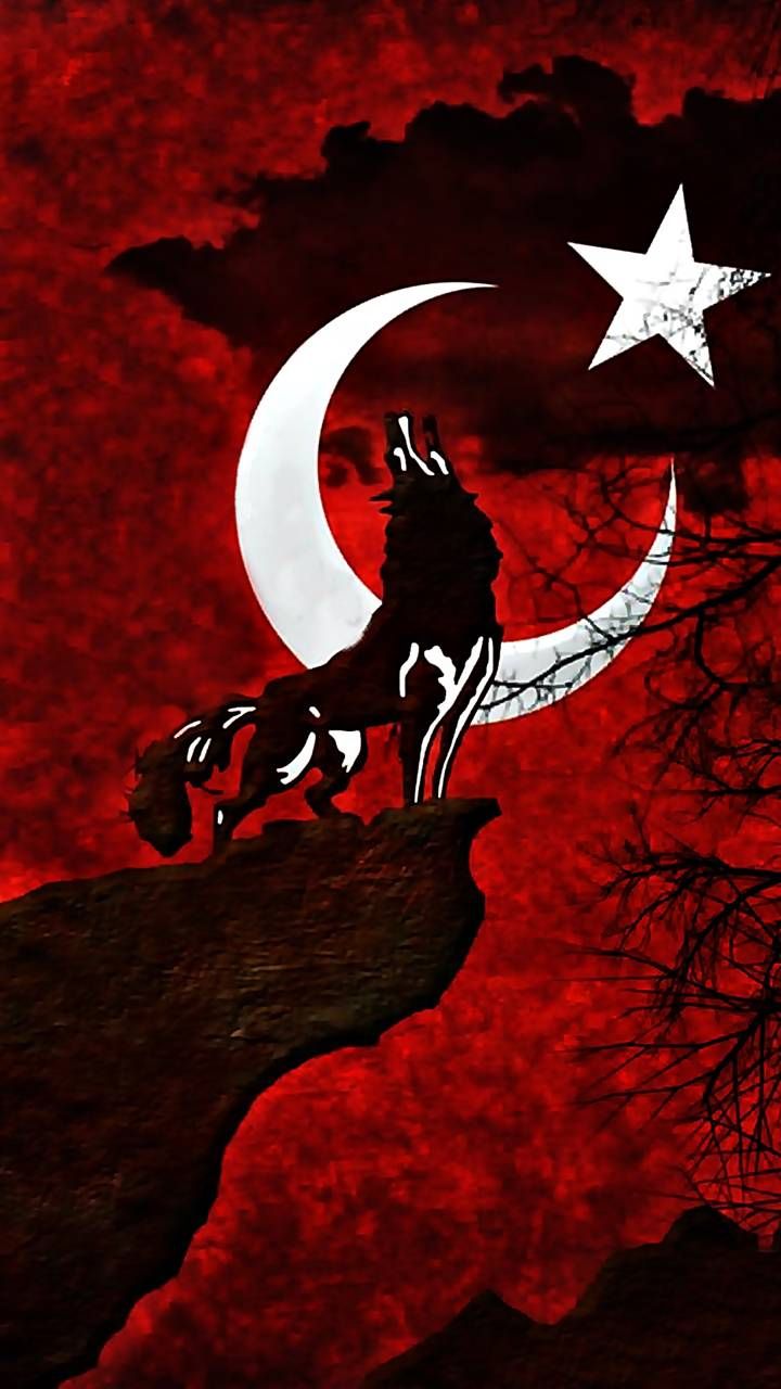 Bozkurt ideas. wolf wallpaper, turkish flag, turkey flag