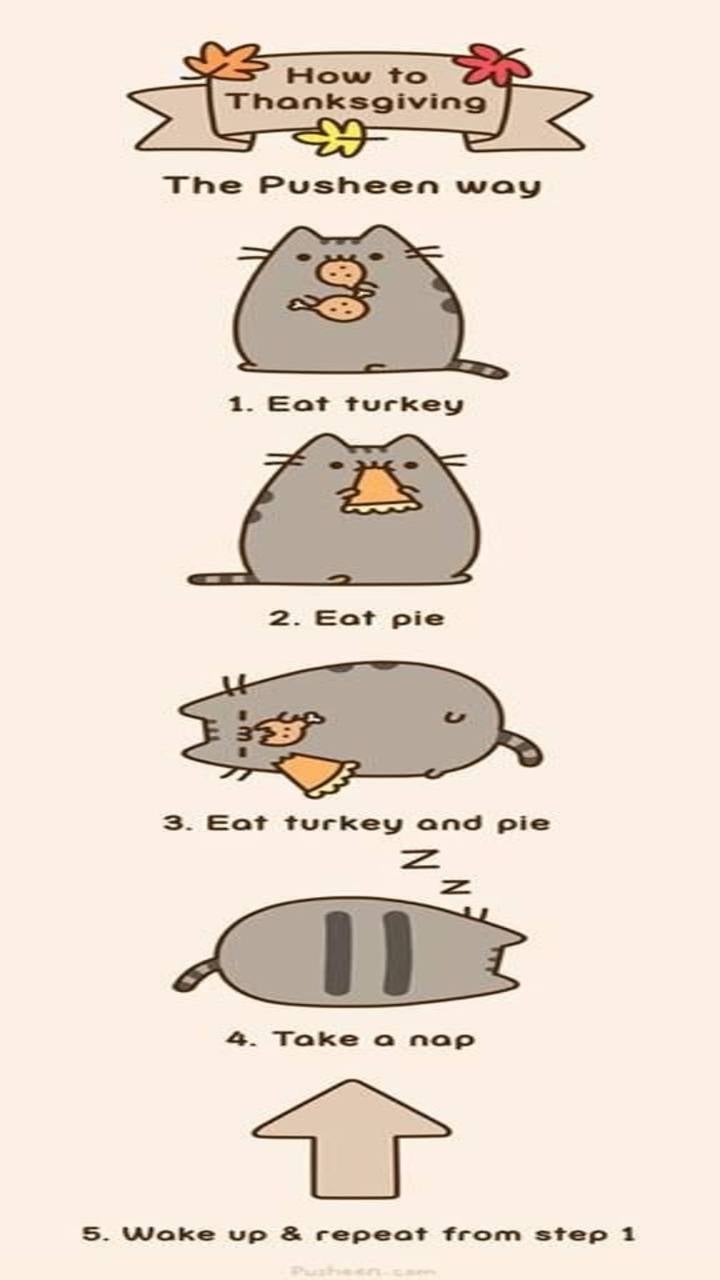 Download Pusheen Thanksgiving HD Wallpaper and Background