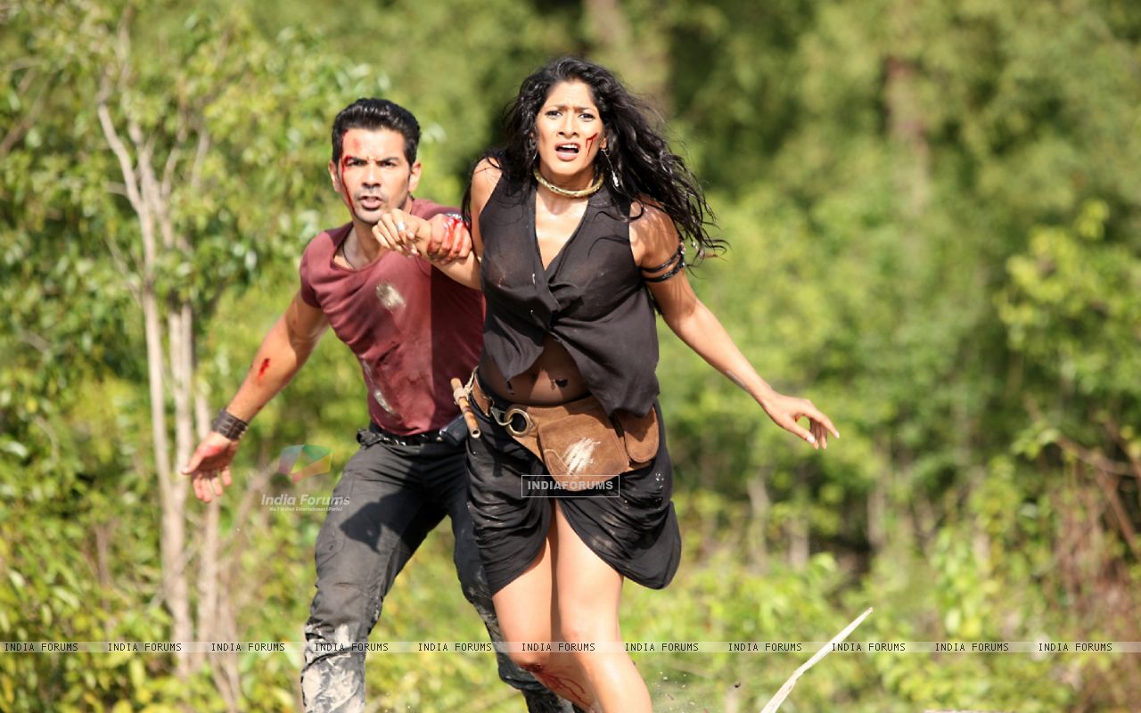 Roar: Tigers Of The Sundarbans wallpaper, Movie, HQ Roar: Tigers Of The Sundarbans pictureK Wallpaper 2019