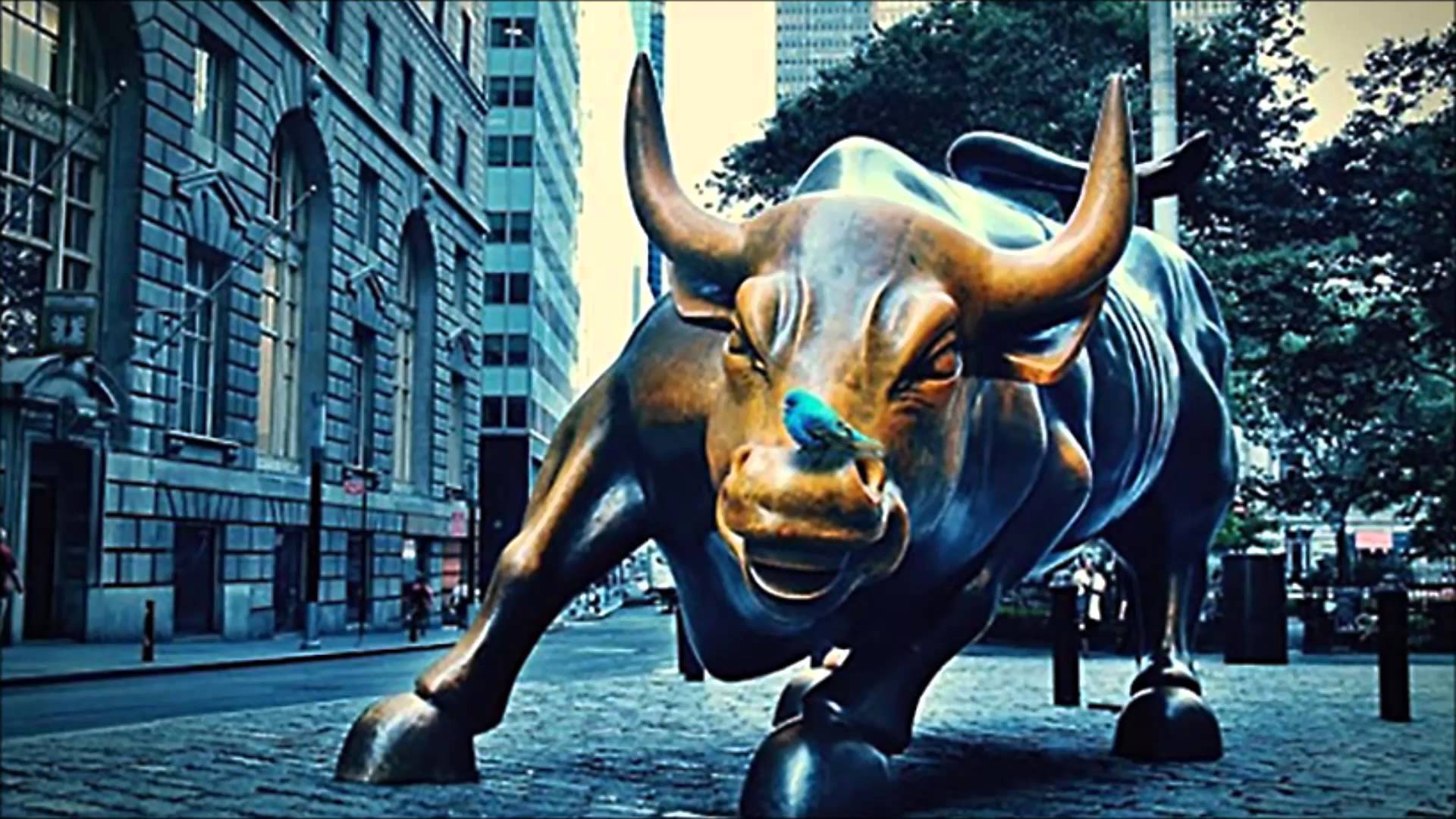 stock market bull images wallpaper hd 4k