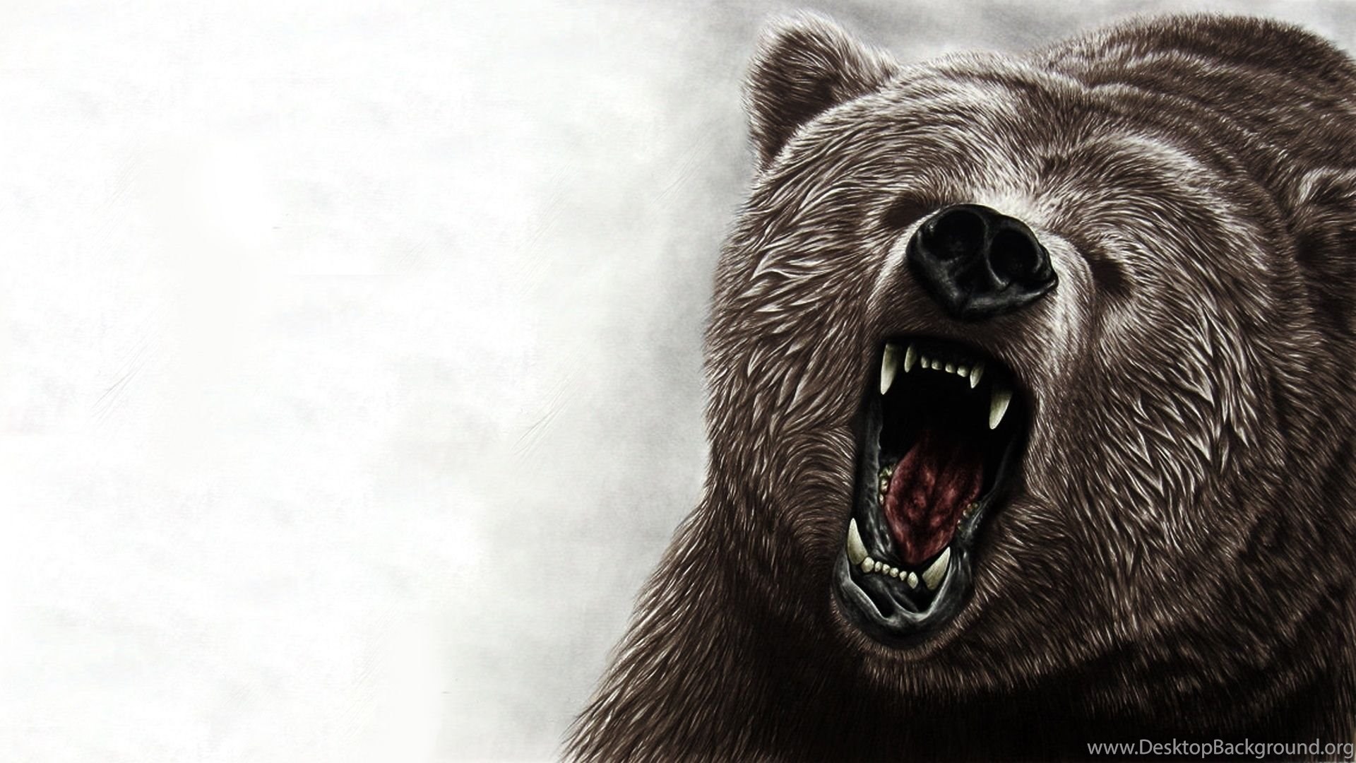 Angry Bear Wallpaper Desktop Background