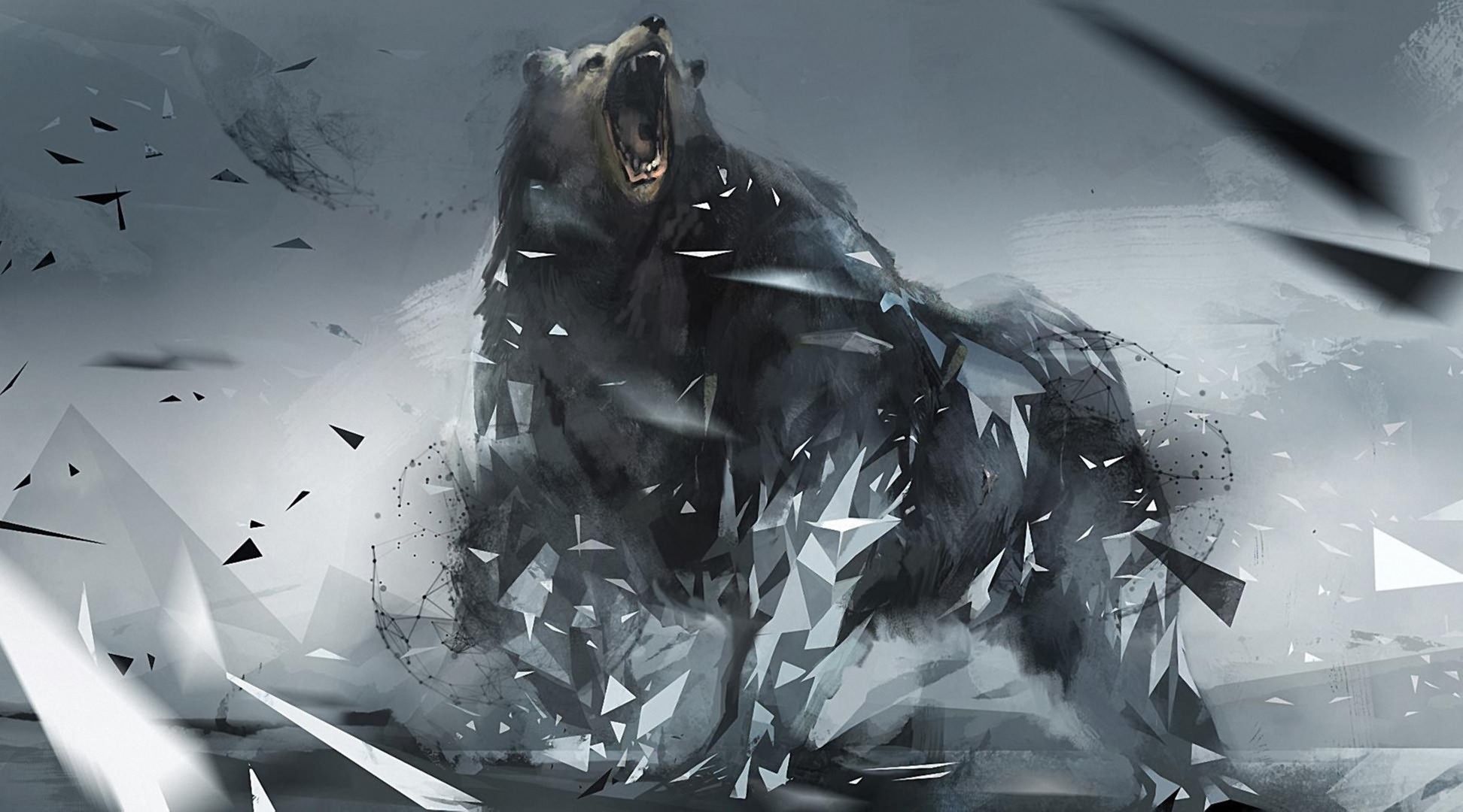 HD angry bear wallpapers  Peakpx