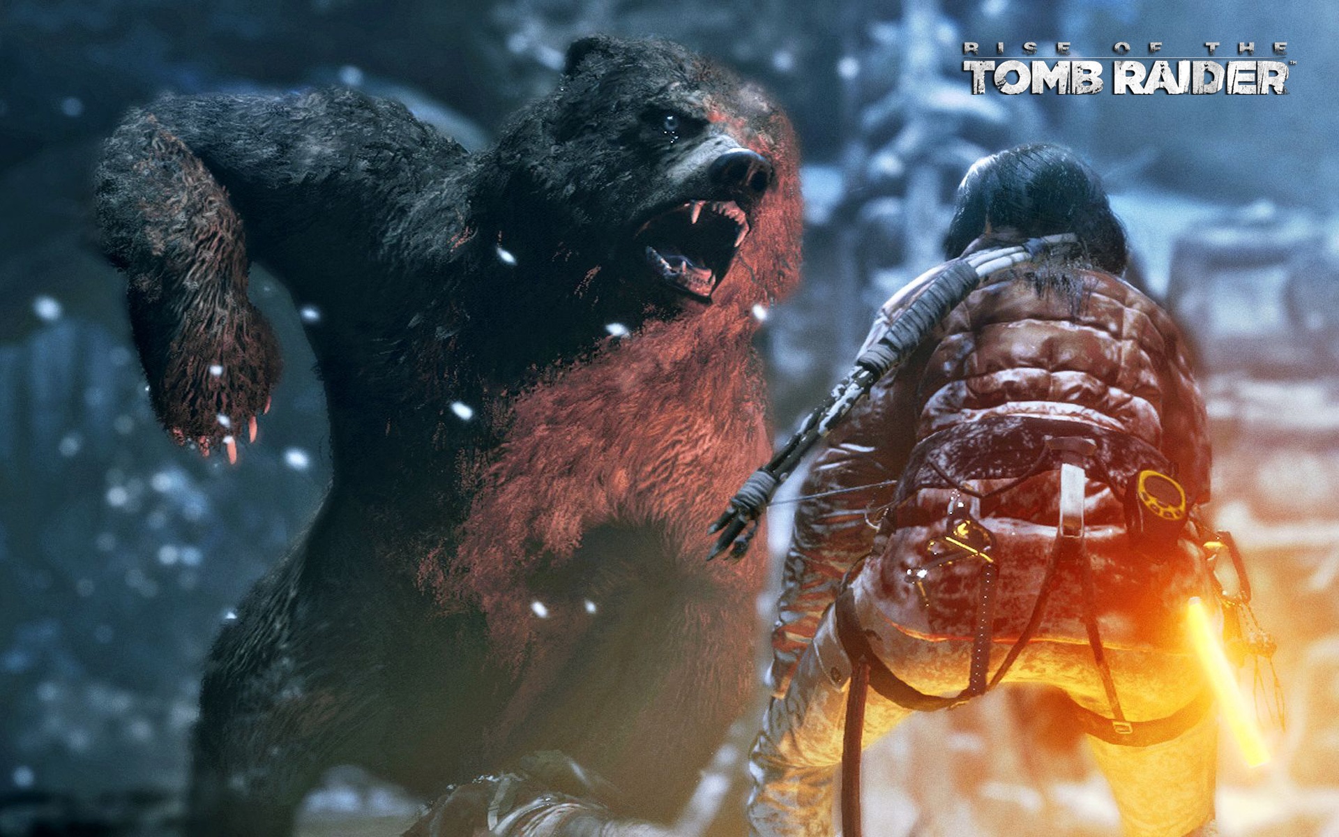 Wallpaper Rise of the Tomb Raider, angry bear 1920x1200 HD Picture, Image
