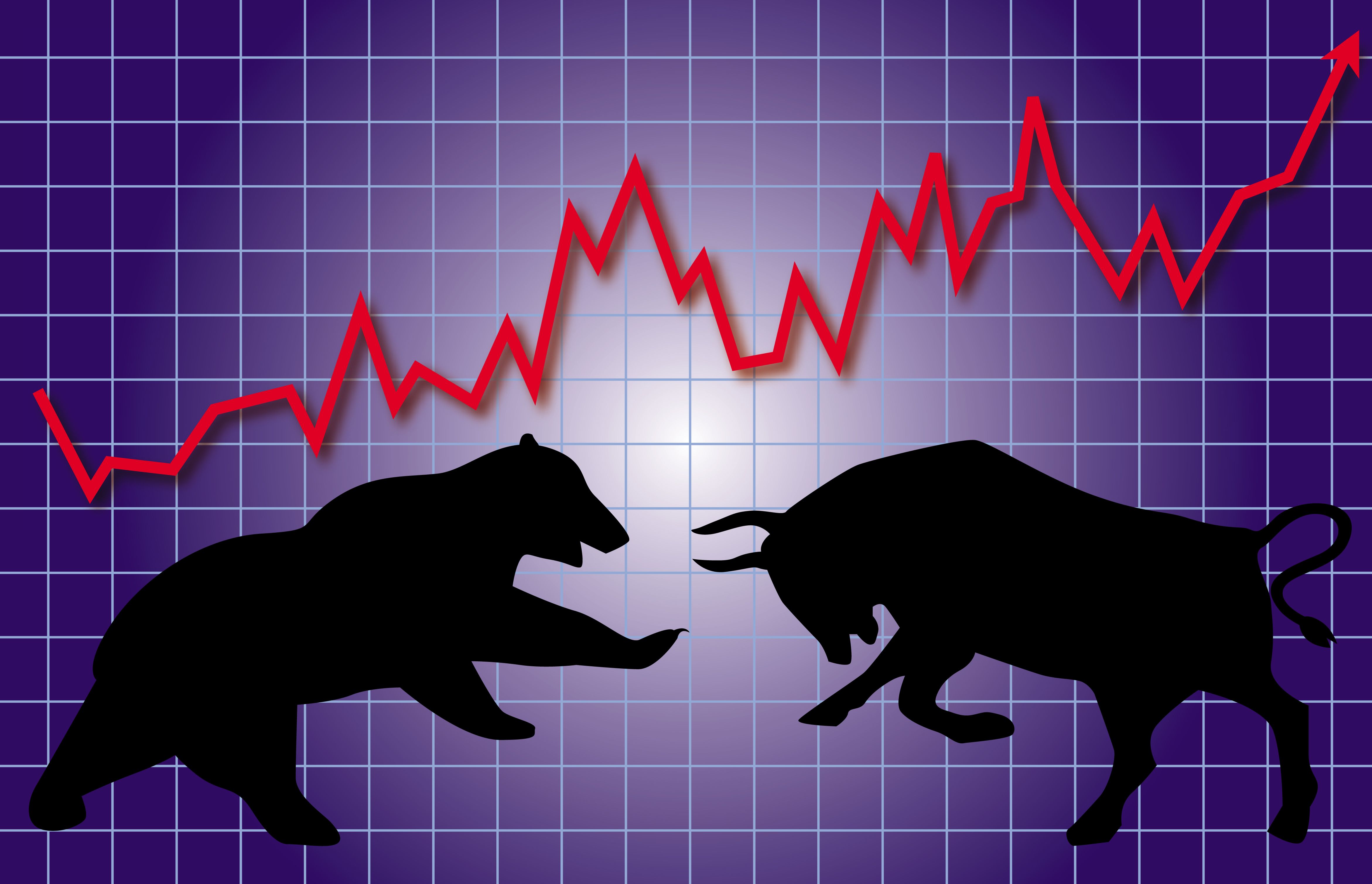 forex bull vs bear market stock market logo wallpaper - 台灣外匯保證金開戶