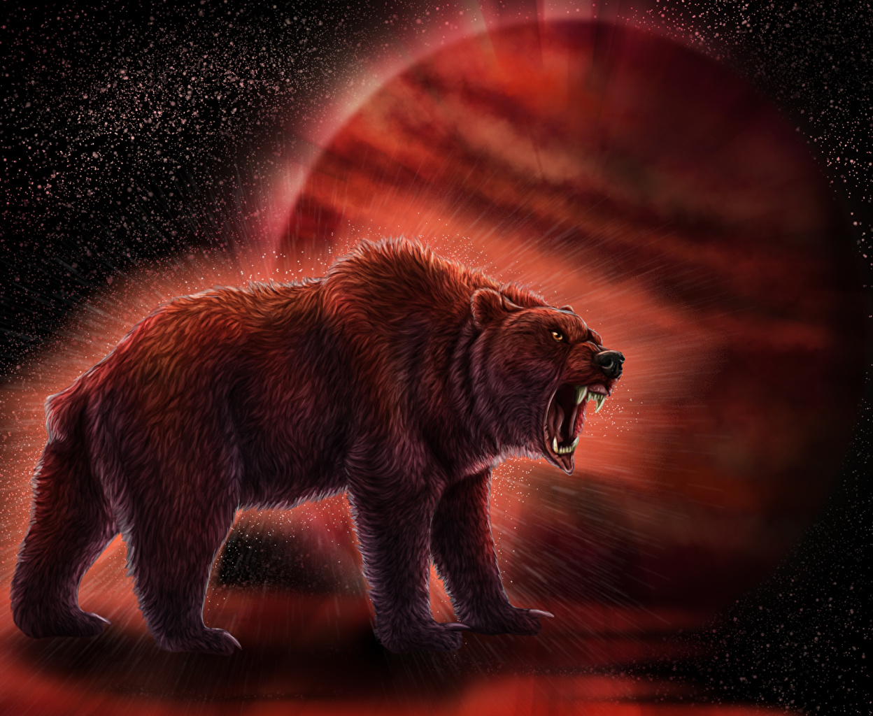 Picture Bears Jupiter Fantasy angry Magical animals