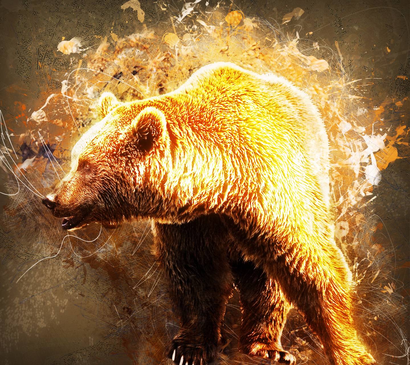 Fire Bear Wallpaper Free Fire Bear Background