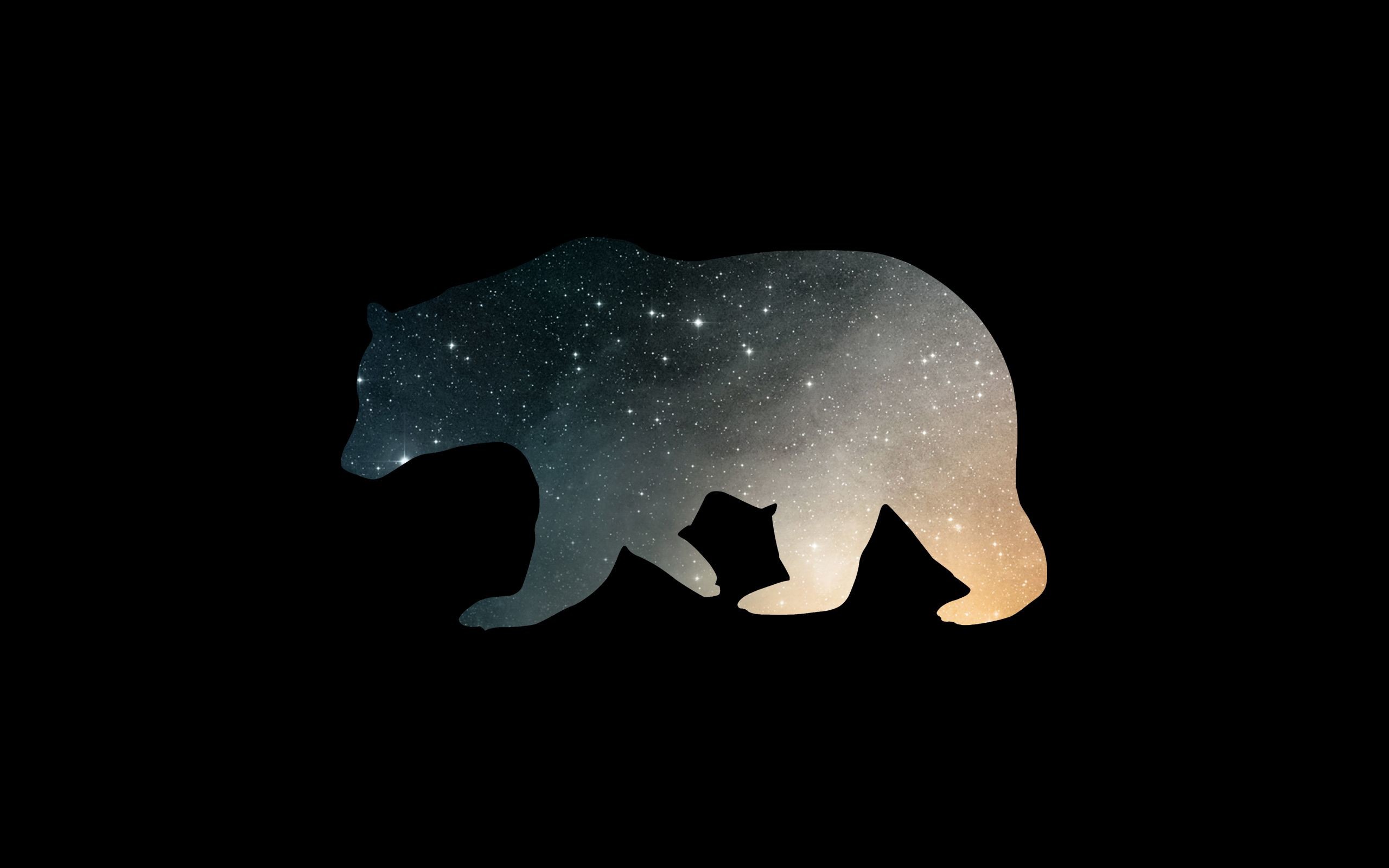 Bear Wallpaper (best Bear Wallpaper and image) on WallpaperChat