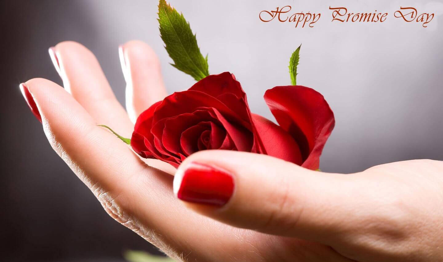 Happy Promise Day Wishes February 2021. Download Pics Image Messages SMS HD Wallpaper Festivals - Everyday is a Festival!