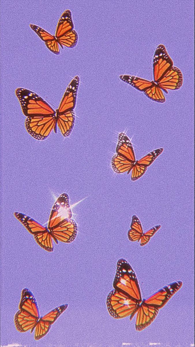 Single Butterfly Wallpaper Aesthetic