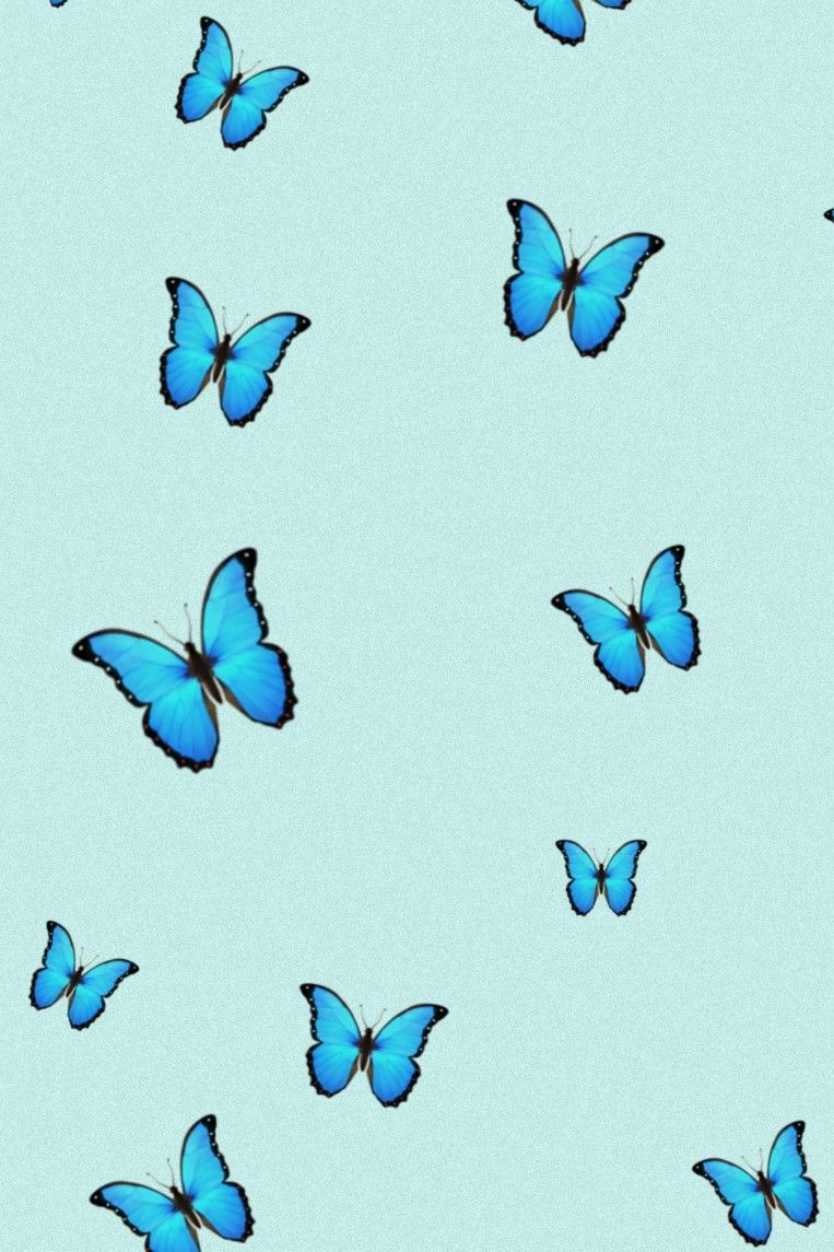 Aesthetic Design Aesthetic Butterfly Wallpaper