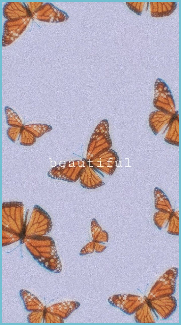 The Best 18 Background Aesthetic Cute Butterfly Wallpaper