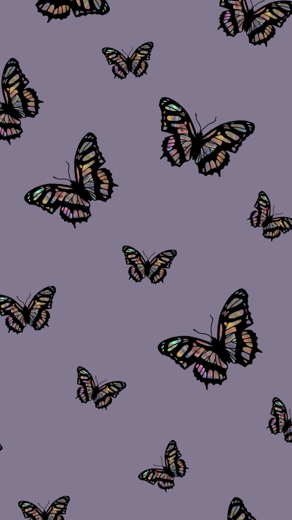 Wallpaper Butterfly Tumblr