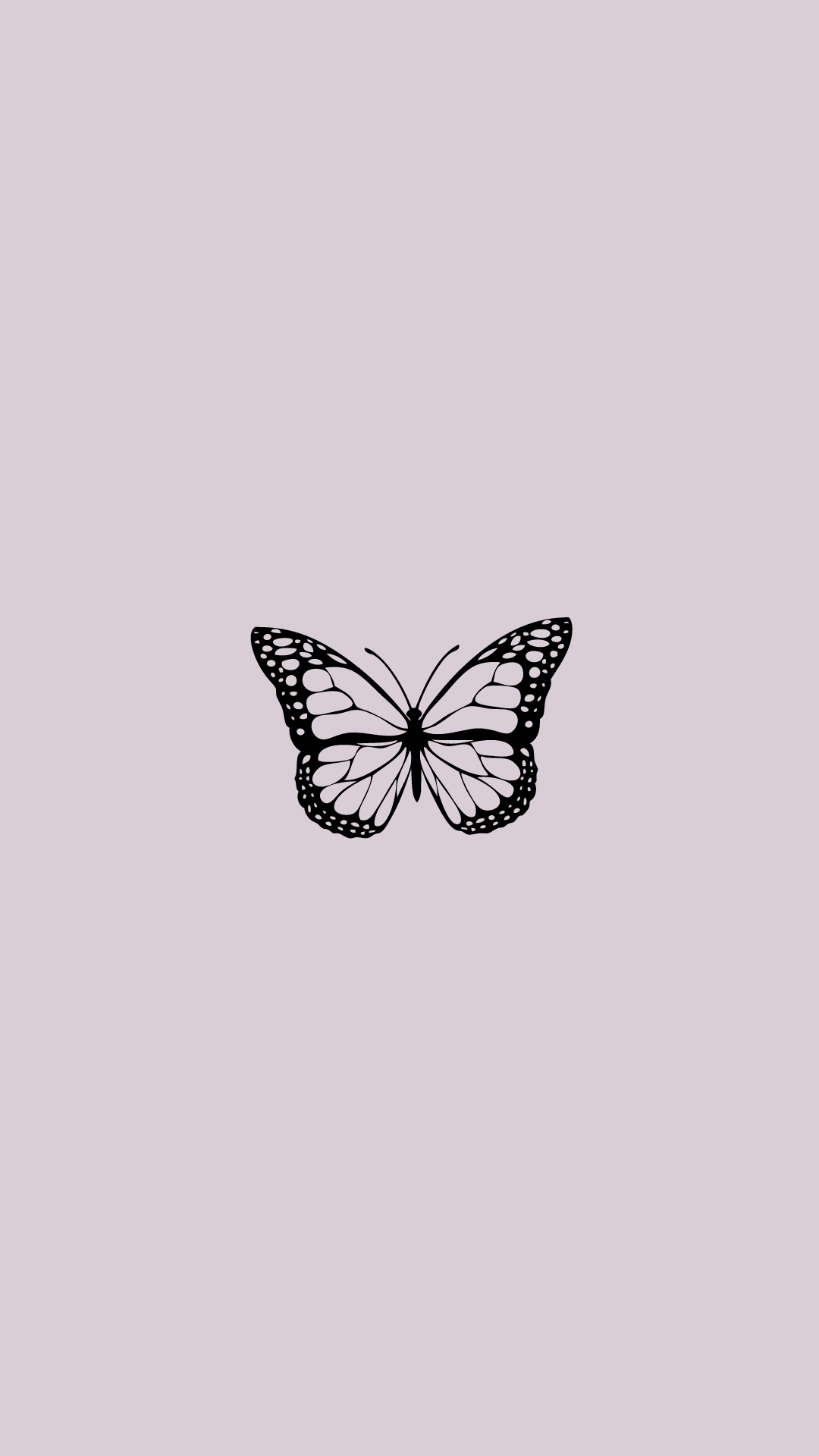500 Black Butterfly Pictures HD  Download Free Images on Unsplash