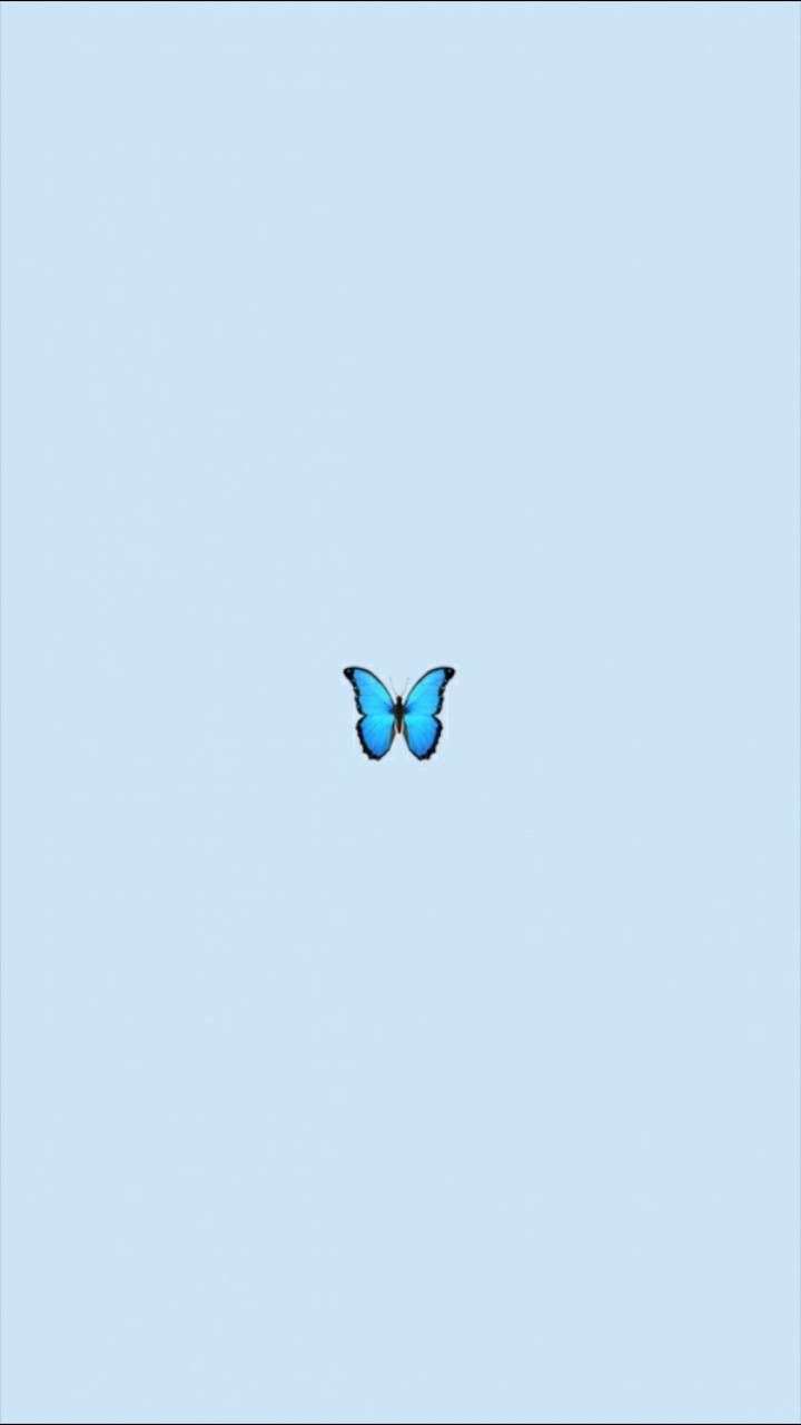 Blue Cute Aesthetic Butterfly Wallpaper