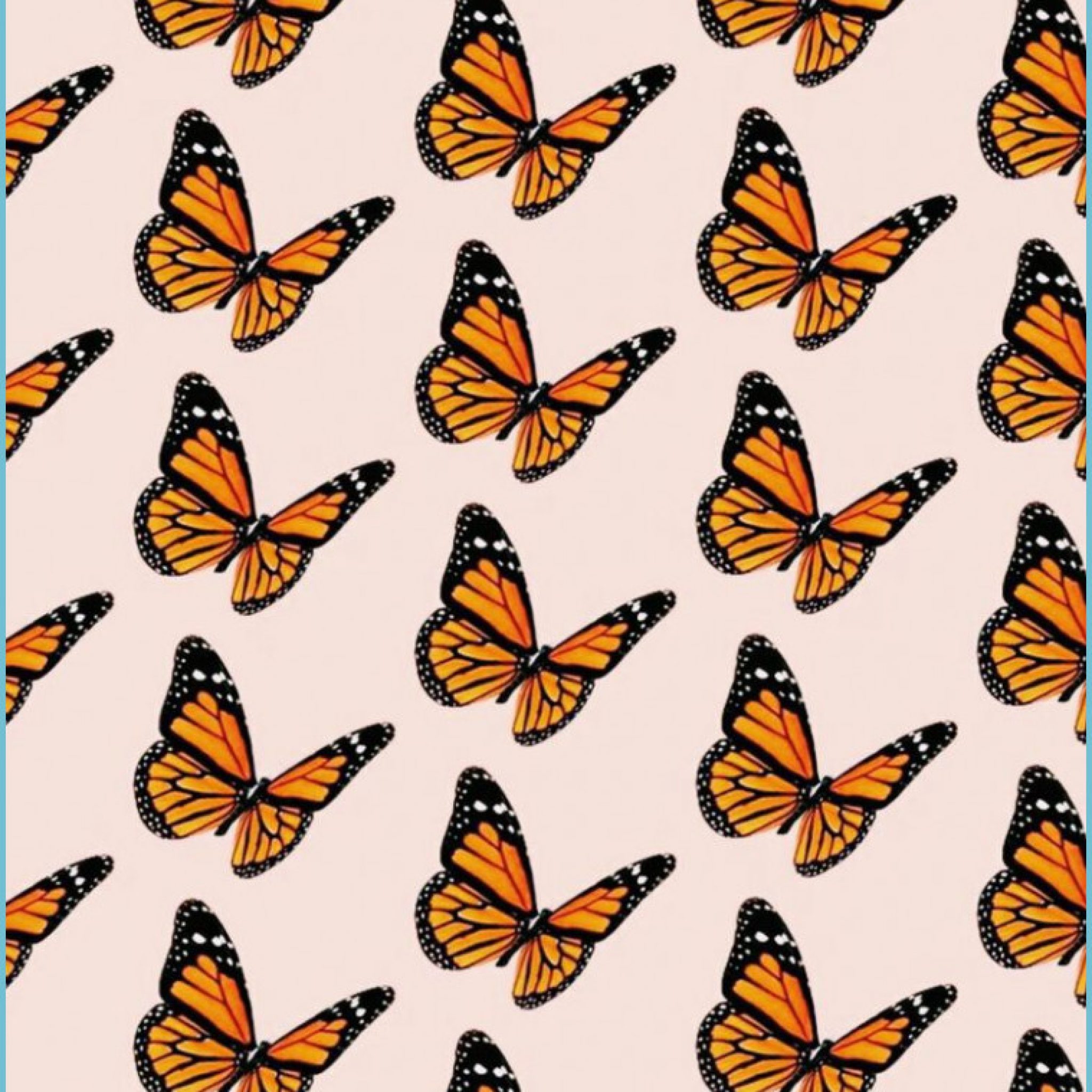 Aesthetic Butterfly Wallpaper Free Aesthetic Butterfly Wallpaper Tumblr