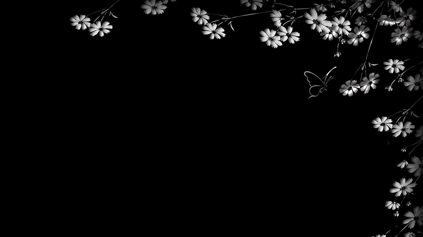 Download wallpaper 1366x768 butterfly, flower, black background tablet,. Computer wallpaper desktop wallpaper, Desktop wallpaper black, Flowers black background