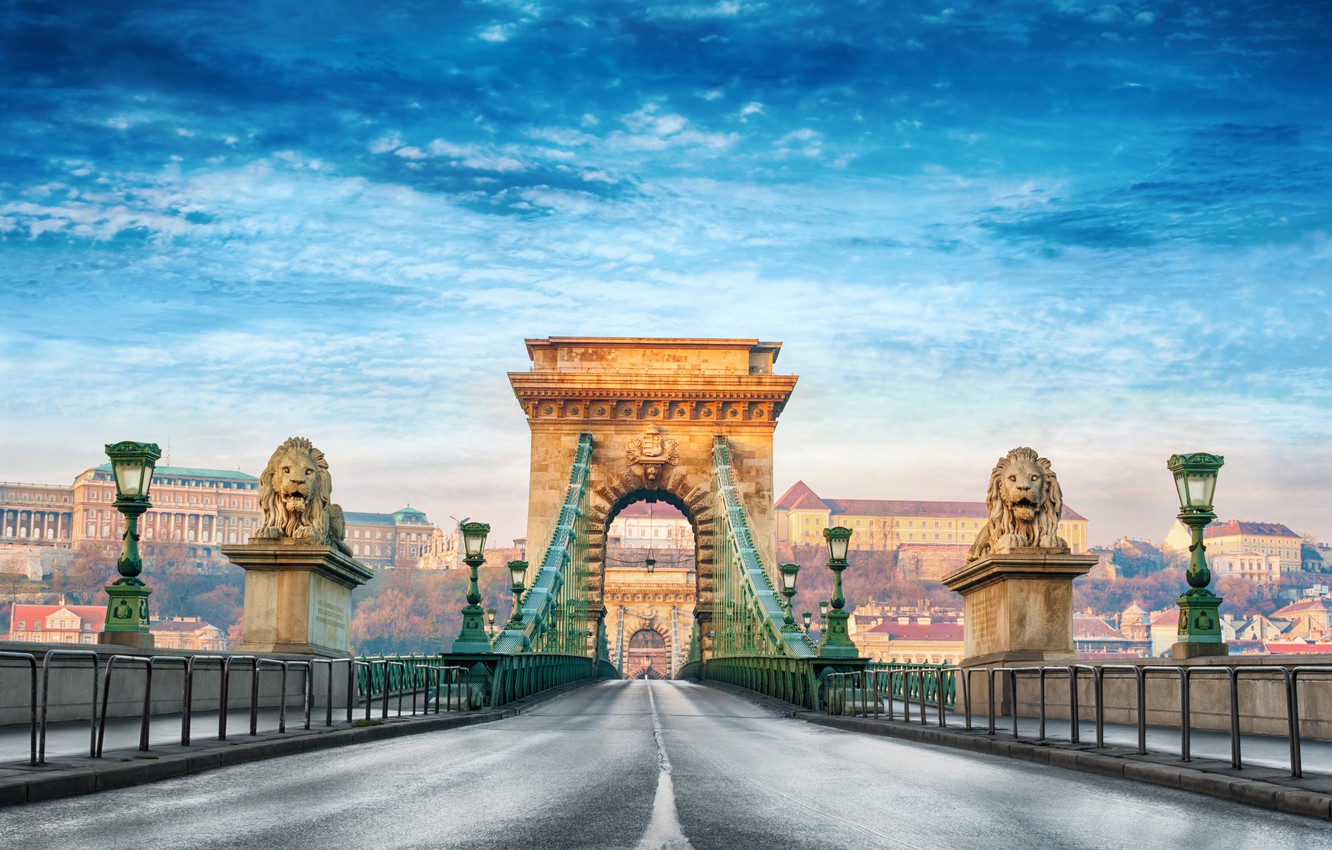 Wallpaper summer, the city, blur, bokeh, view, Hungary, Hungary, suspension bridge, Budapest, travel, Budapest, Széchenyi chain bridge, wallpaper., my planet, the Danube river, a pair of lions lights the way image for