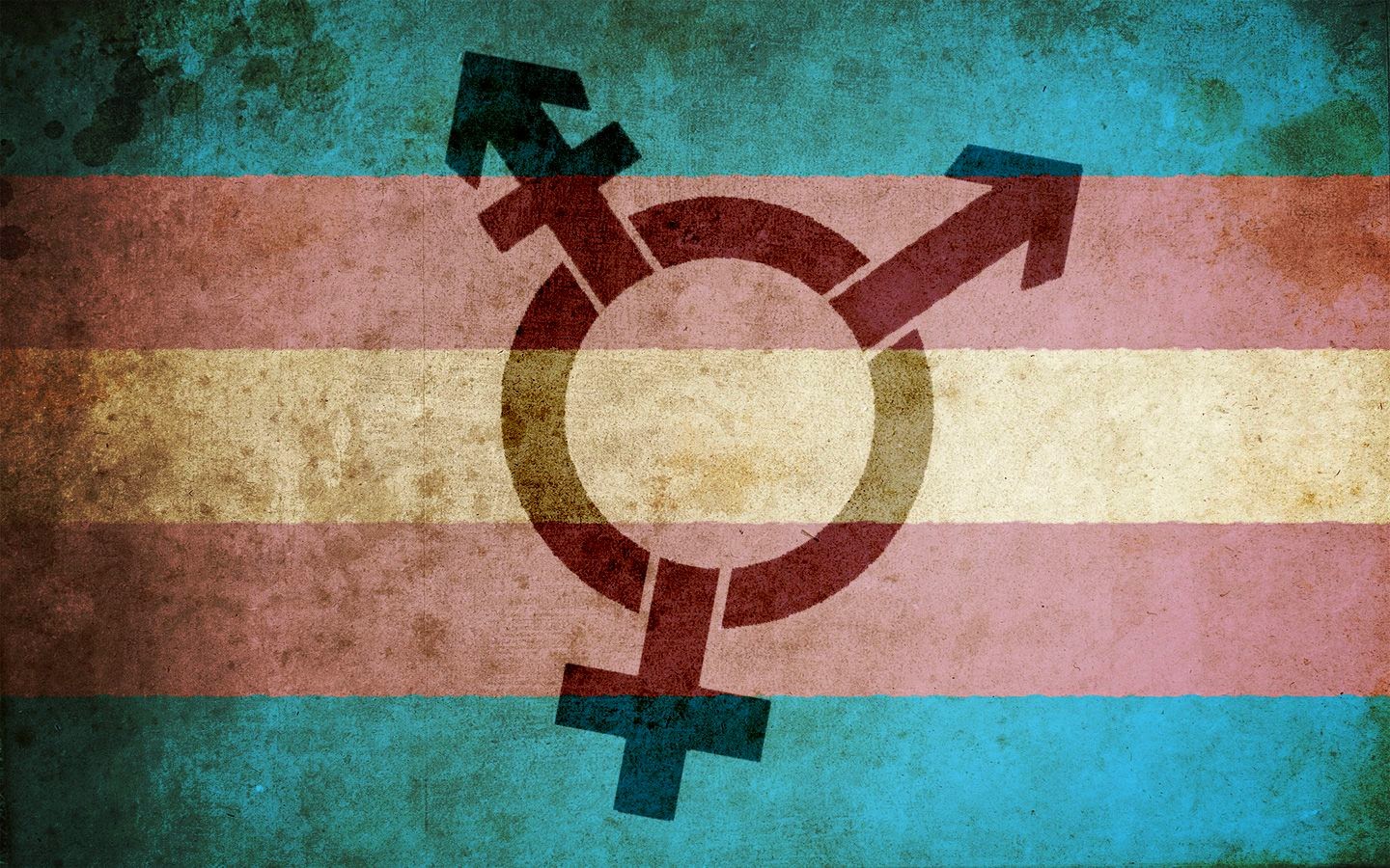 Be a Trans Ally on Transgender Day of Remembrance Village Green