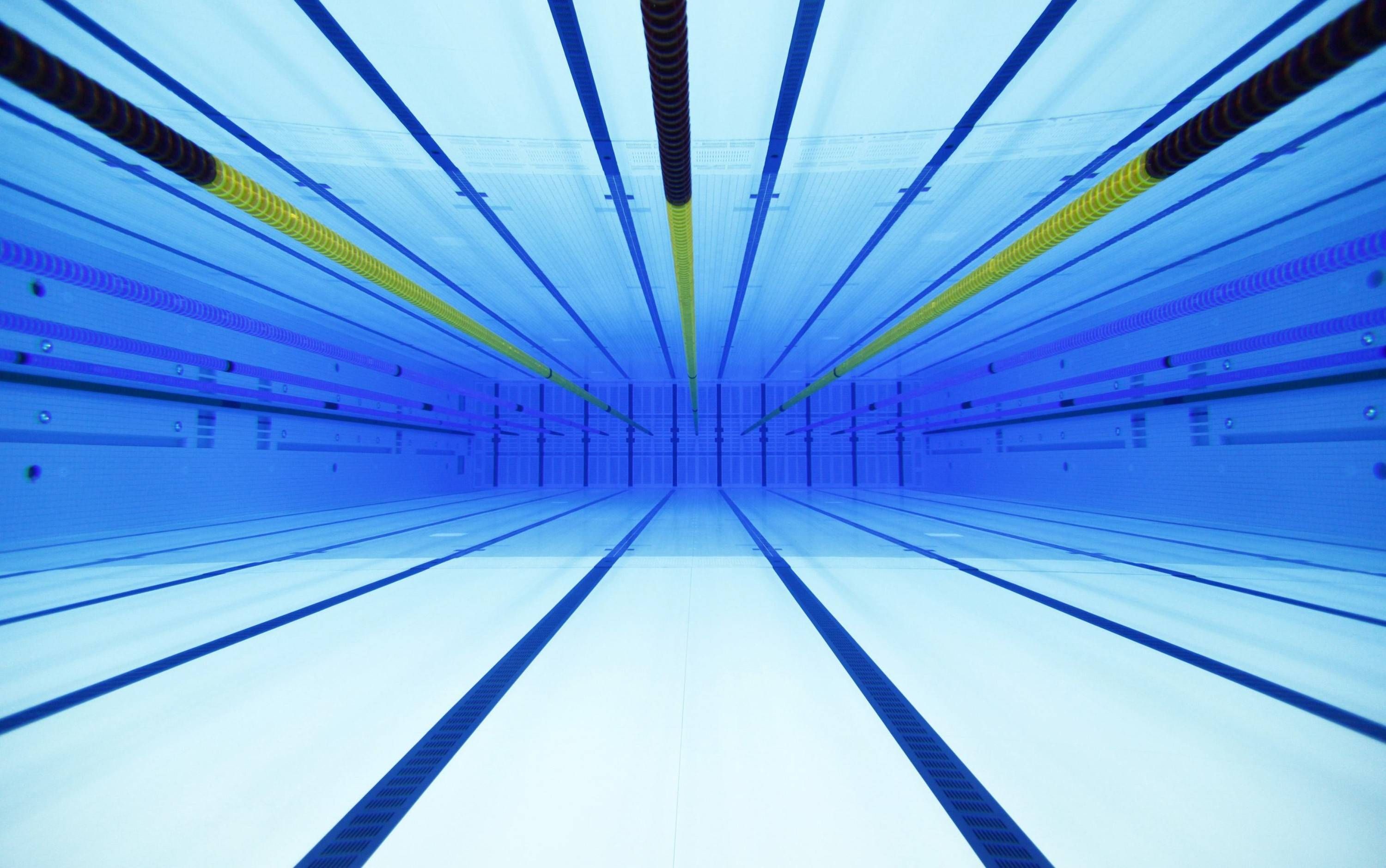 An underwater view of the London Olympics swimming pool. Olympic swimming, Olympic venues, Swimming