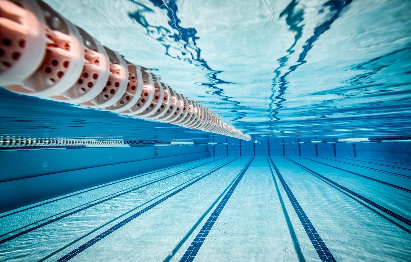 Wallpaper sport, underwater, water, lines, reflection, swimming, miscellanea, tiles, Swimming pool, olympic swimming pool image for desktop, section разное