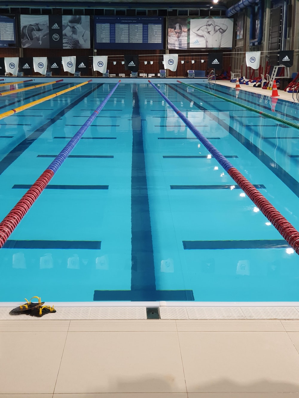 Olympic Pool Picture. Download Free Image