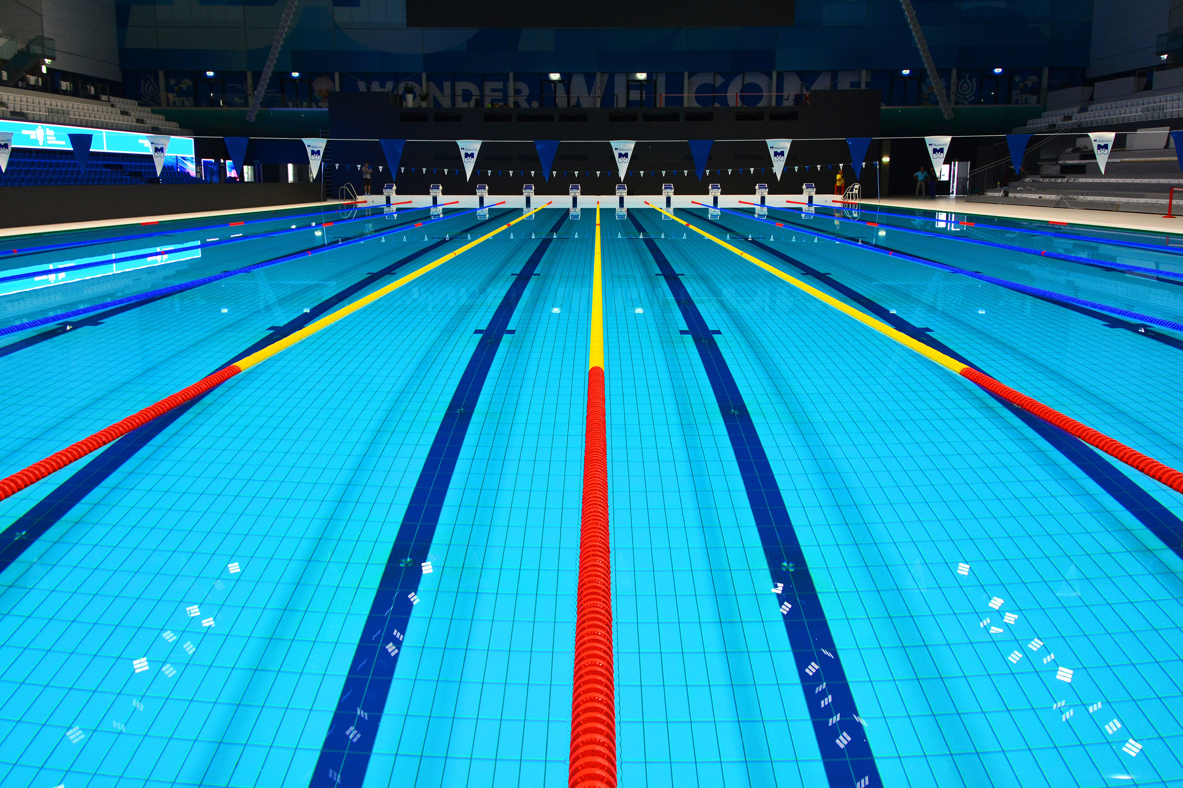 Olympic Swimming Pool Free