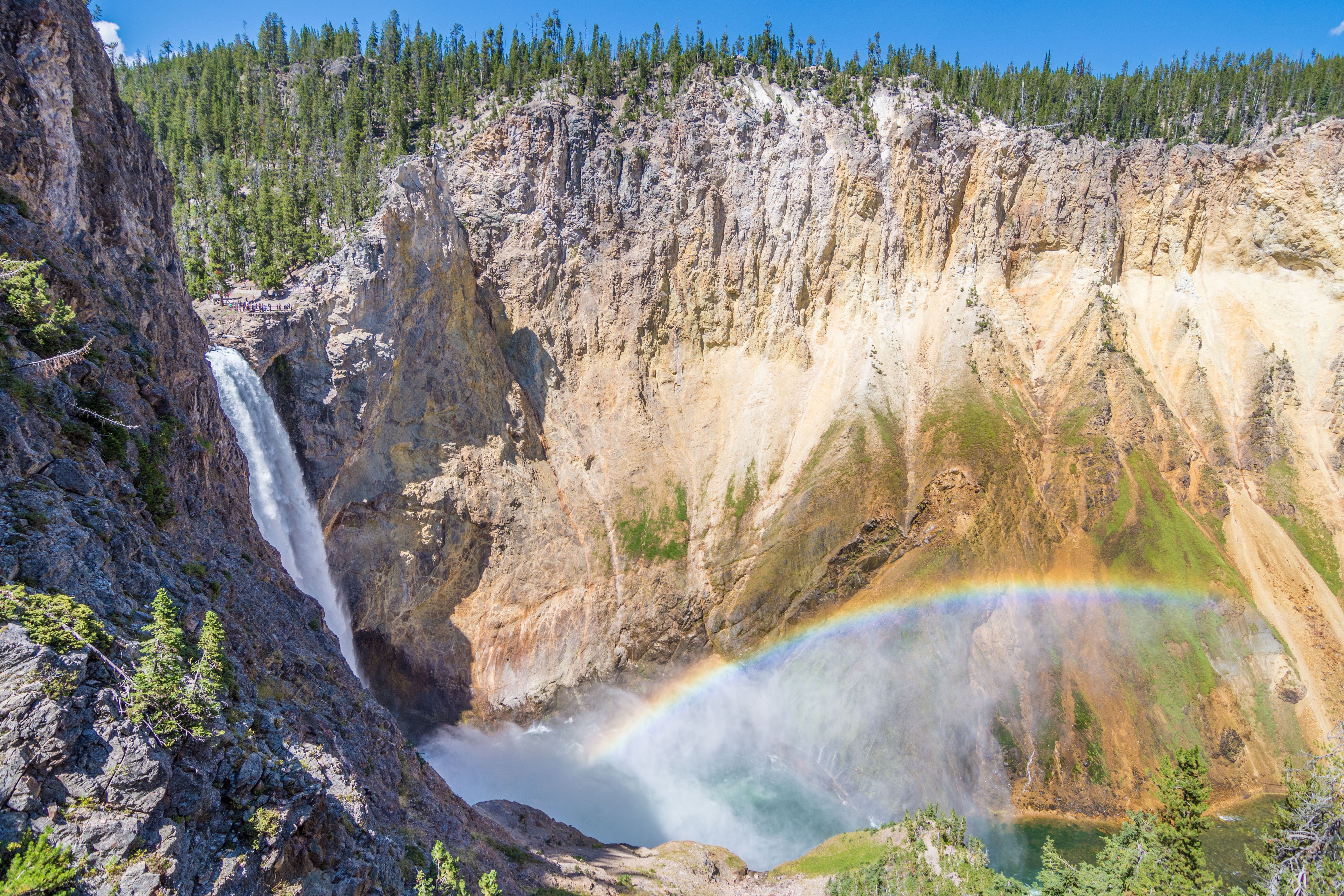 Trail in Yellowstone 4K wallpaper