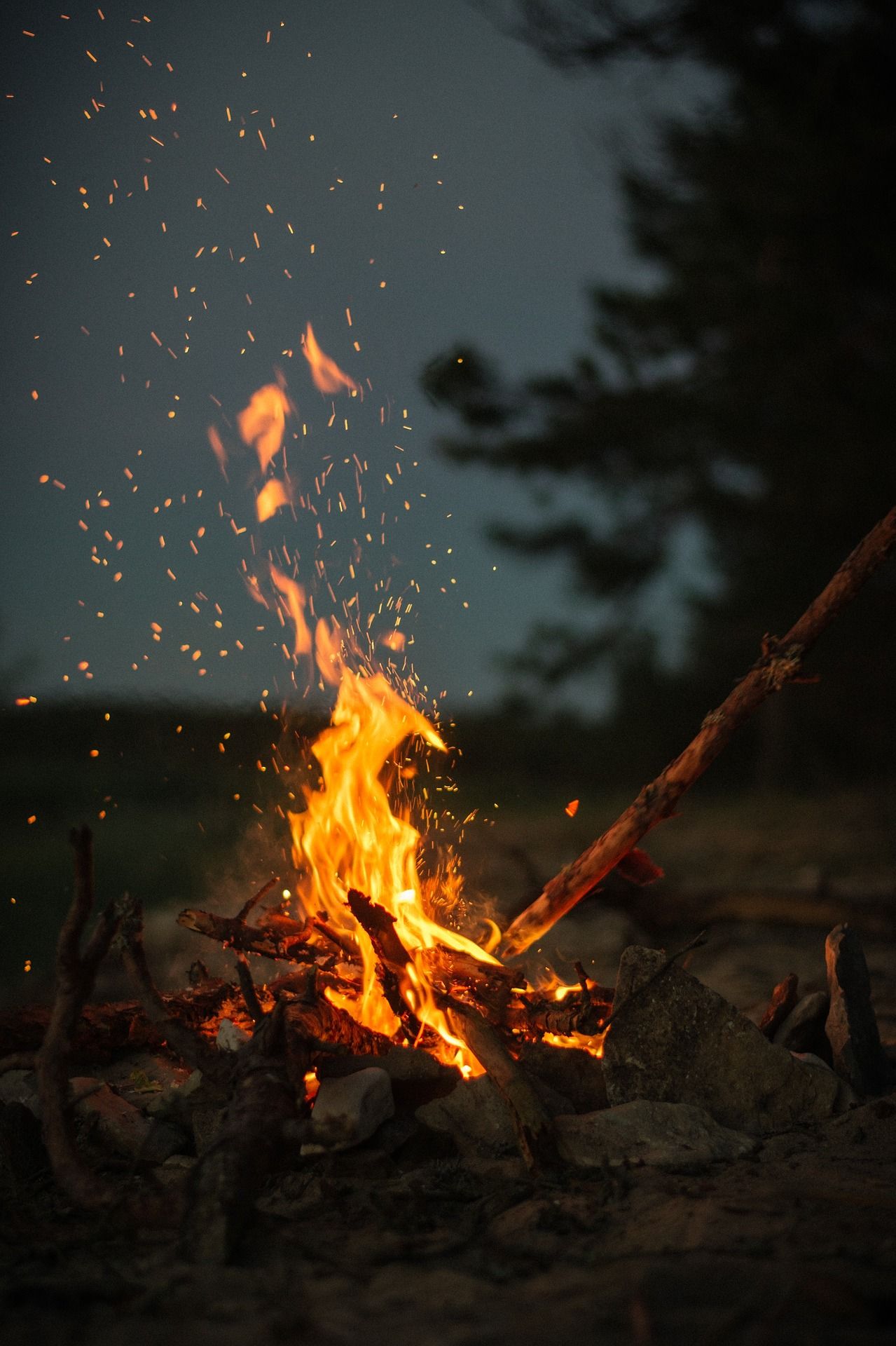 The best wood to use as firewood in a campfire. Camping wallpaper, Fire photography, Campfire