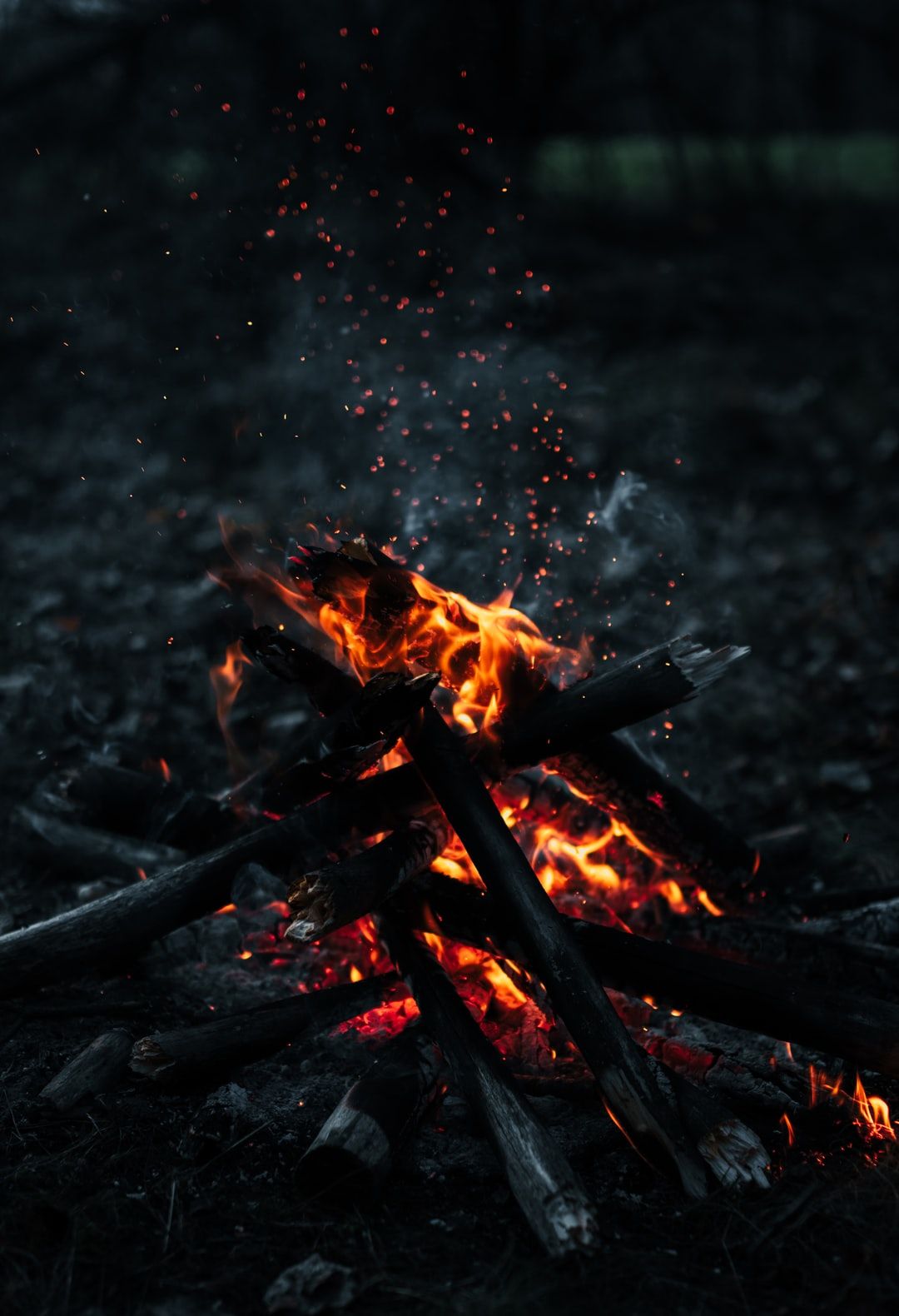 burning wood on fire pit photo