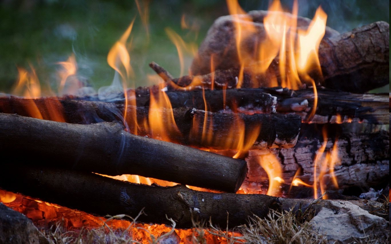 nature, Fire, Wood Wallpaper HD / Desktop and Mobile Background