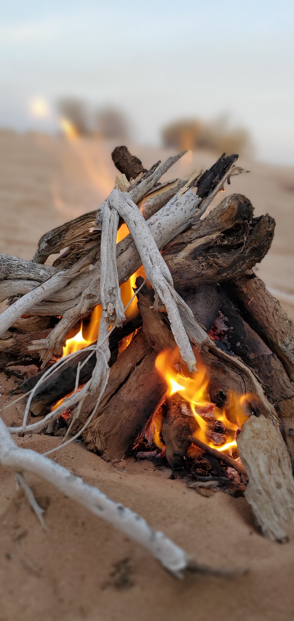 Wood Fire Picture. Download Free Image
