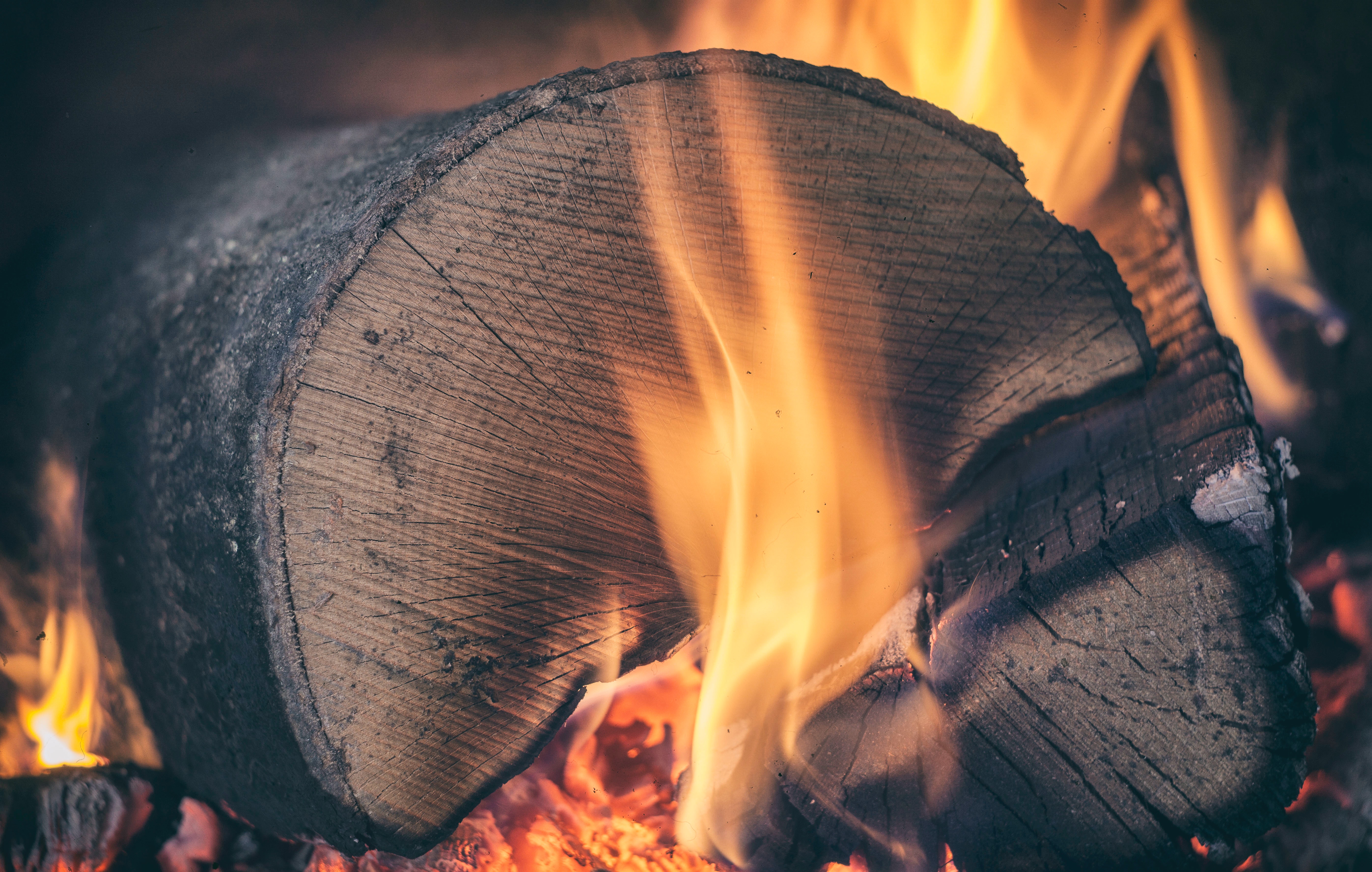 Burning Wood · Free
