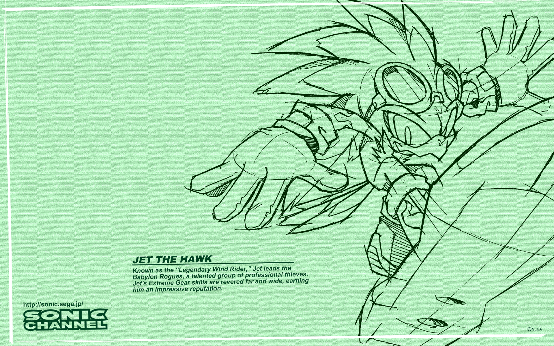 Sonic Channel (Wallpaper) jet the hawk. Sonic, Sonic art, Hedgehog drawing