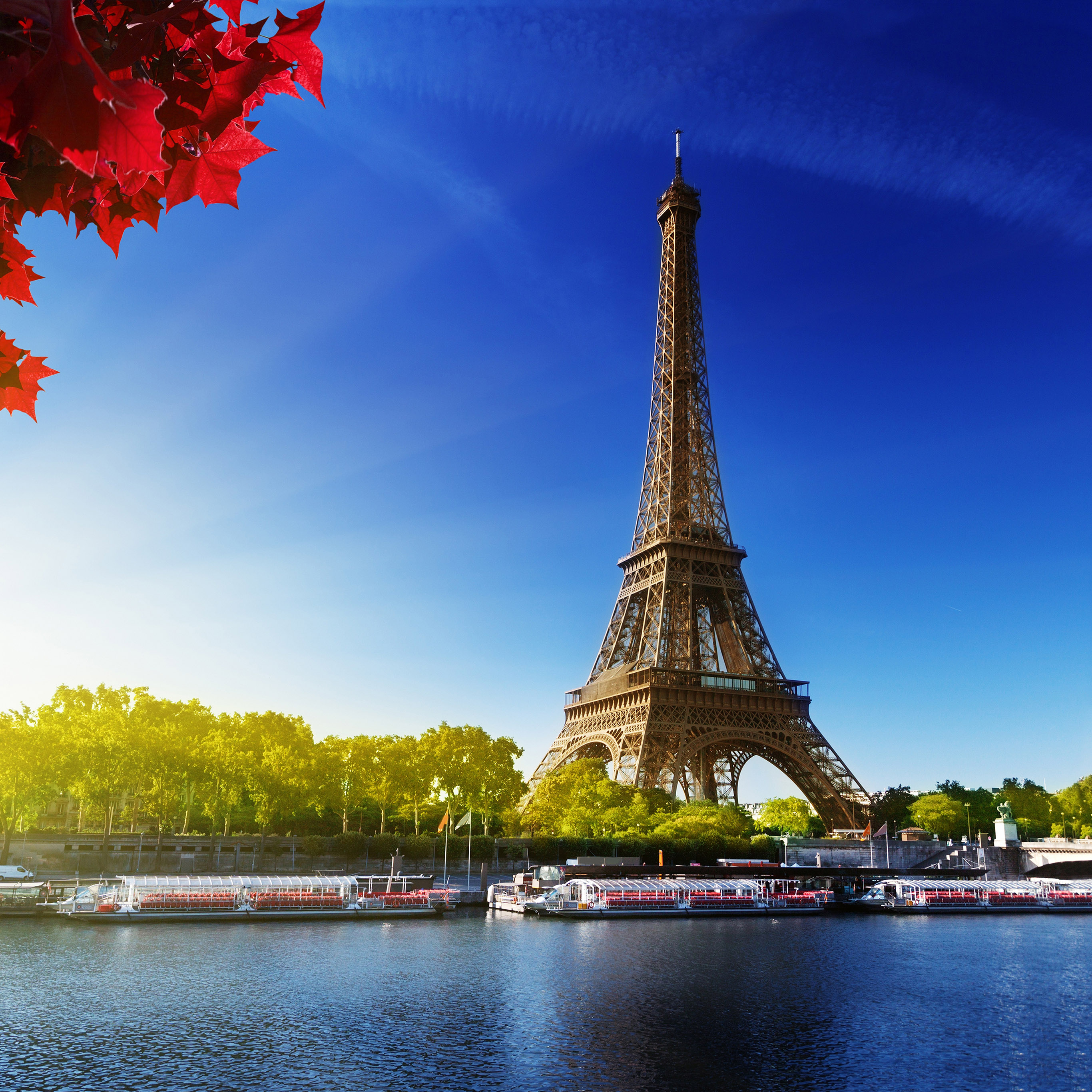 Sky Blue Eiffel Tower Nature Paris City Wallpaper