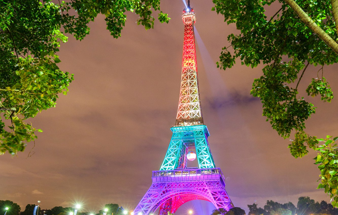 Wallpaper trees, night, lights, France, Paris, Eiffel tower image for desktop, section город